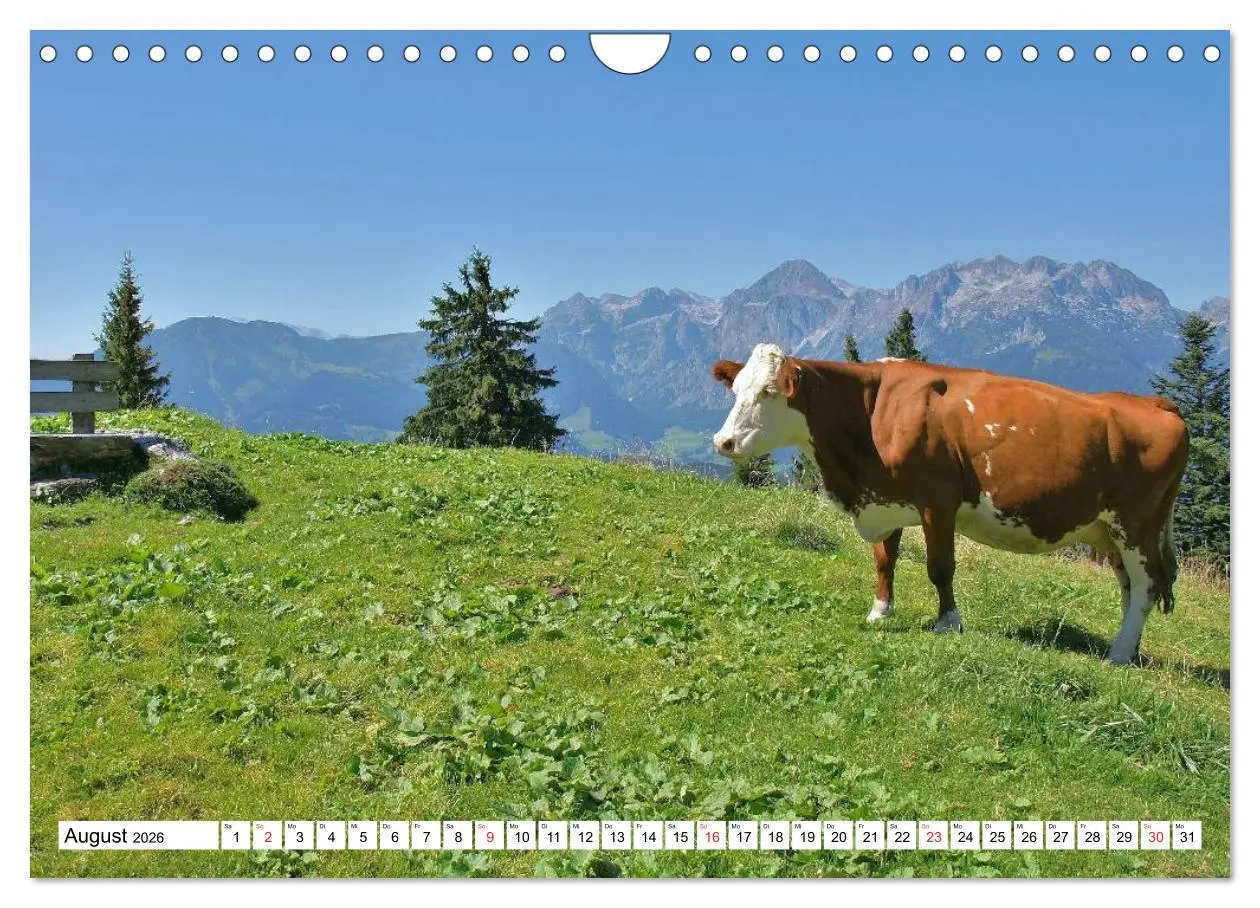 Bild: 9783457975749 | Die Alpen im Herzen von Österreich (Wandkalender 2026 DIN A4 quer),...