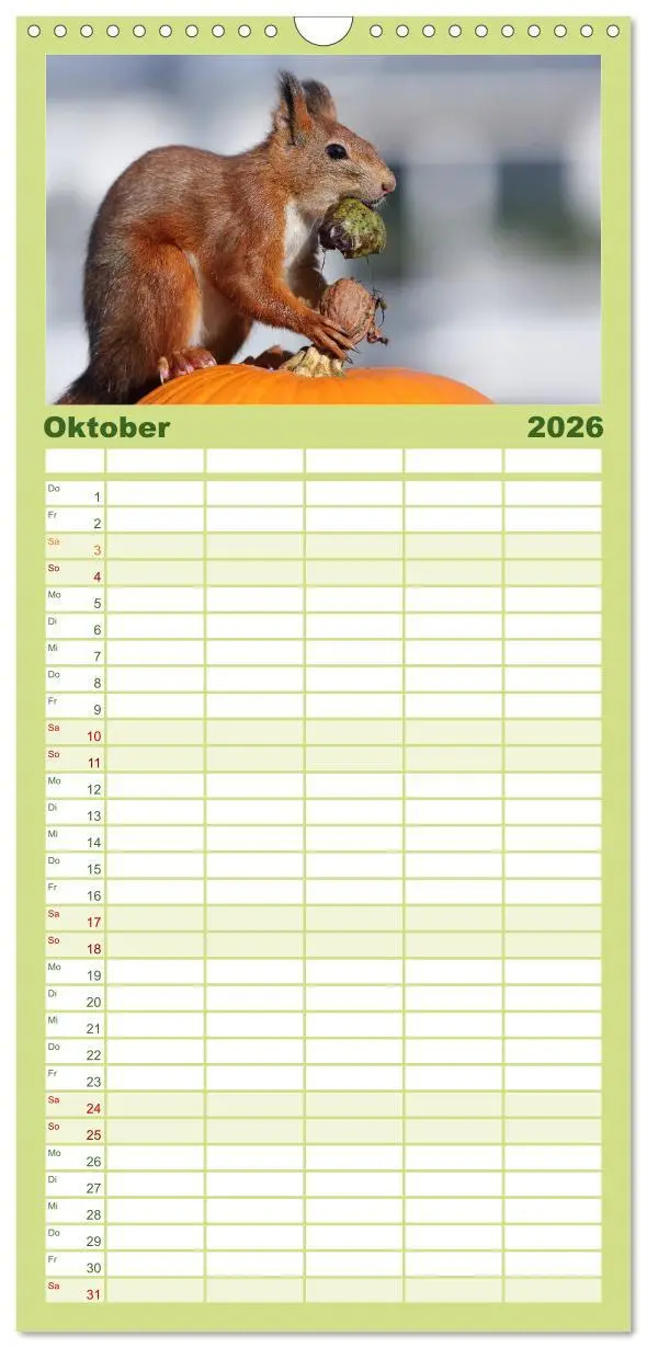 Bild: 9783516515749 | Familienplaner 2026 - Eichhörnchen Momentaufnahmen fürs Herz mit 5...