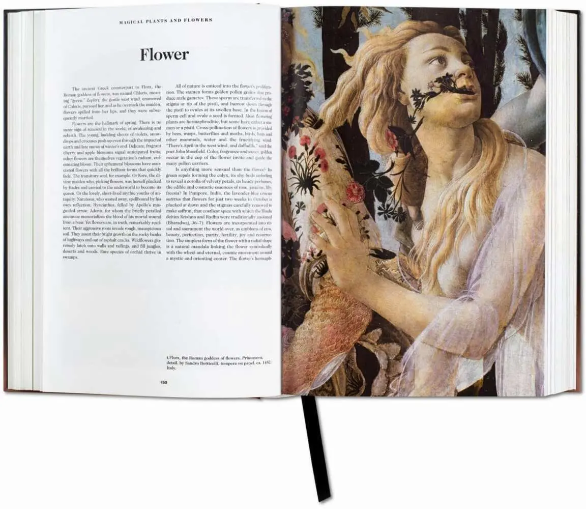Bild: 9783836525749 | Le Livre des Symboles | Réflexions sur des images archétypales | Buch
