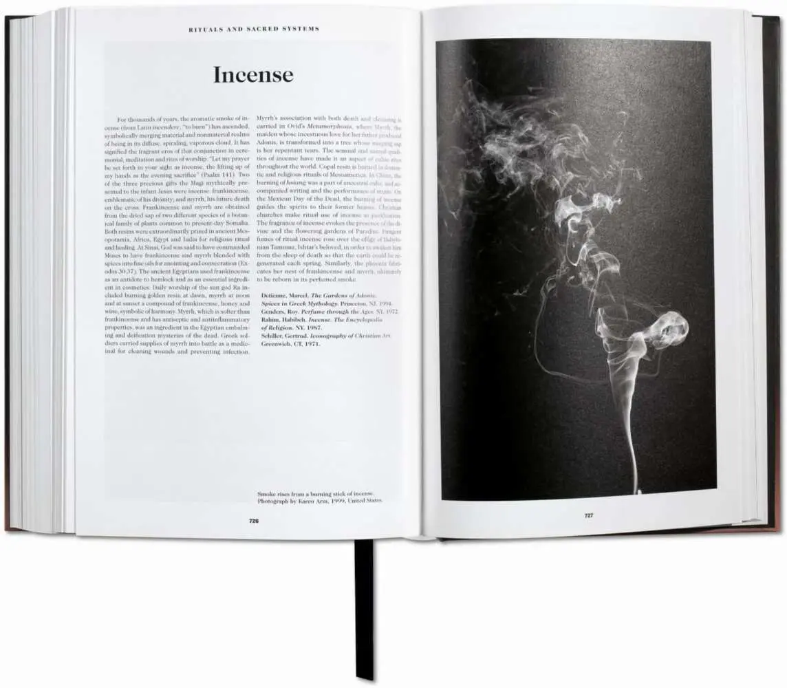 Bild: 9783836525749 | Le Livre des Symboles | Réflexions sur des images archétypales | Buch
