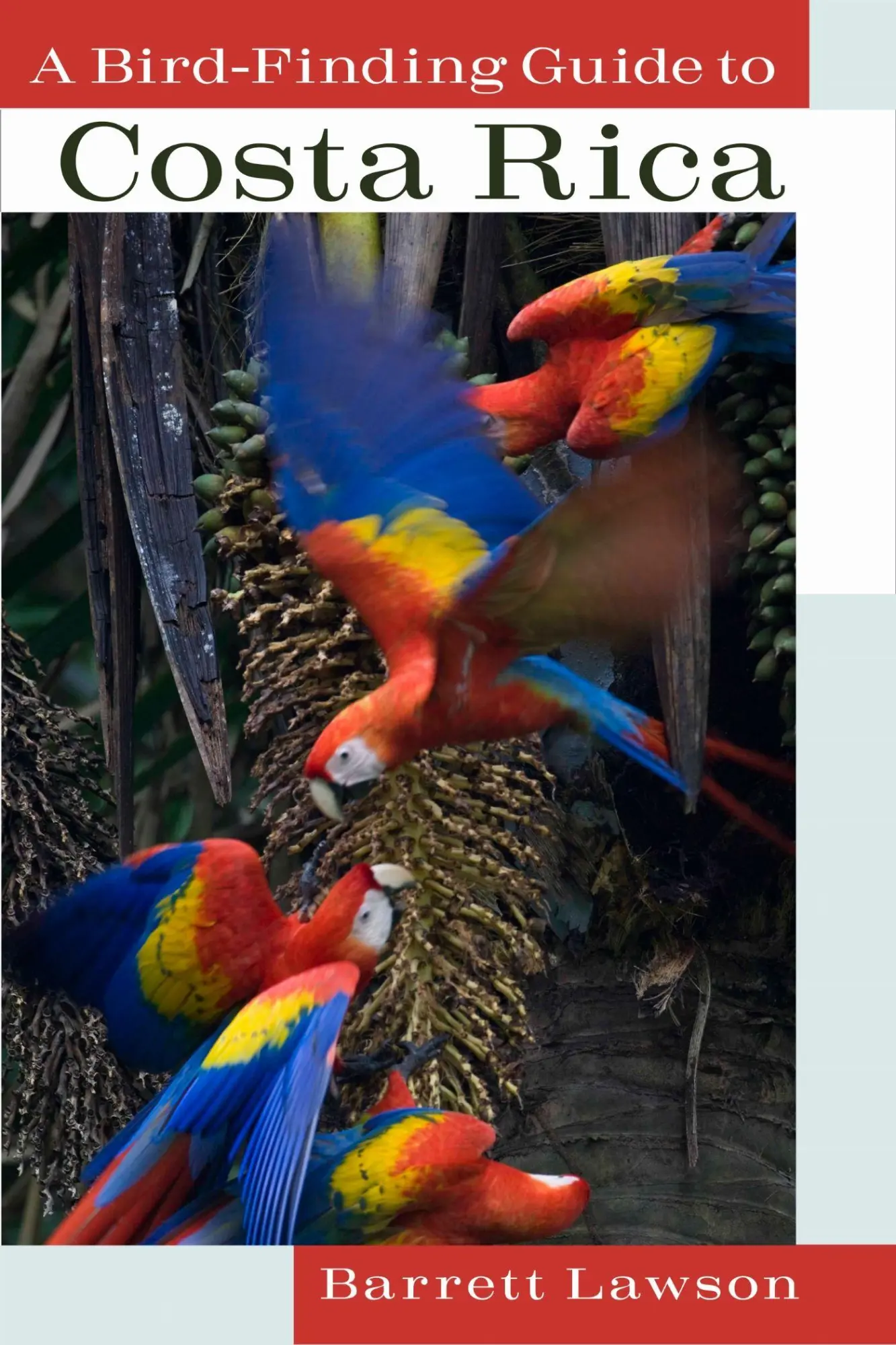 Cover: 9780801475849 | A Bird-Finding Guide to Costa Rica | Barrett Lawson | Taschenbuch