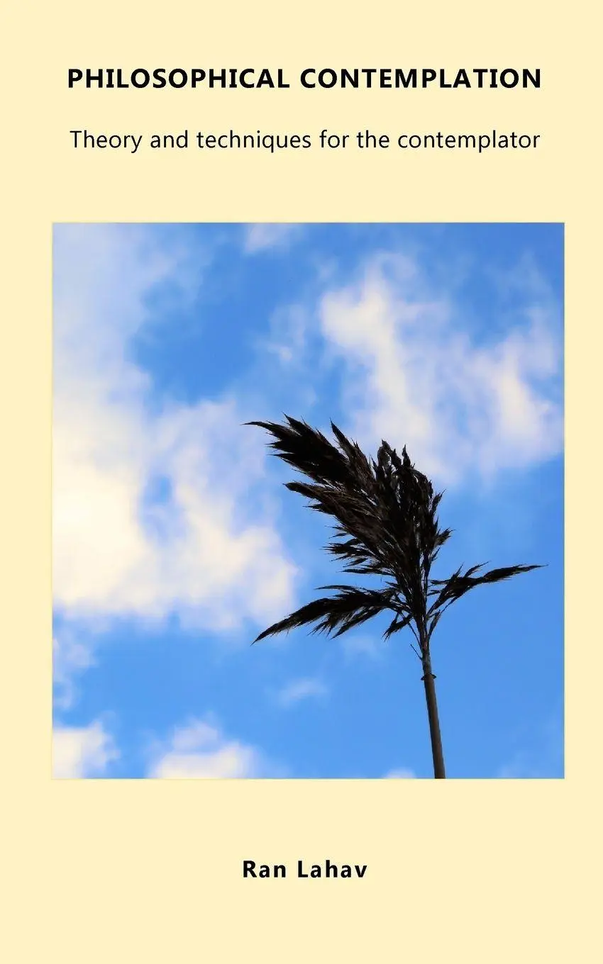 Cover: 9781947515949 | Philosophical Contemplation | Ran Lahav | Taschenbuch | Englisch