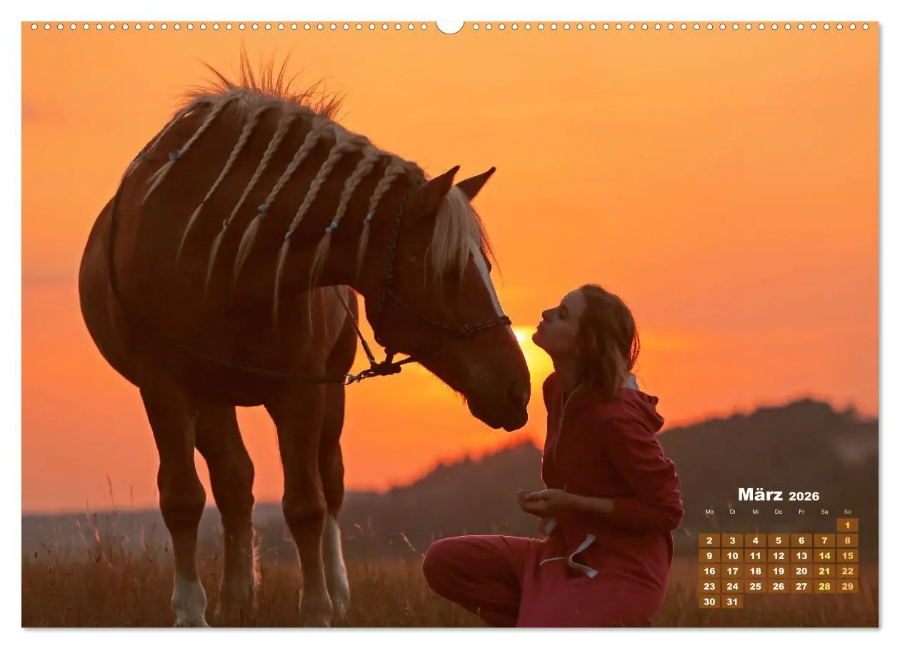 Bild: 9783457265949 | Haflinger: Die blonden Pferde von der Alm (Wandkalender 2026 DIN A2...