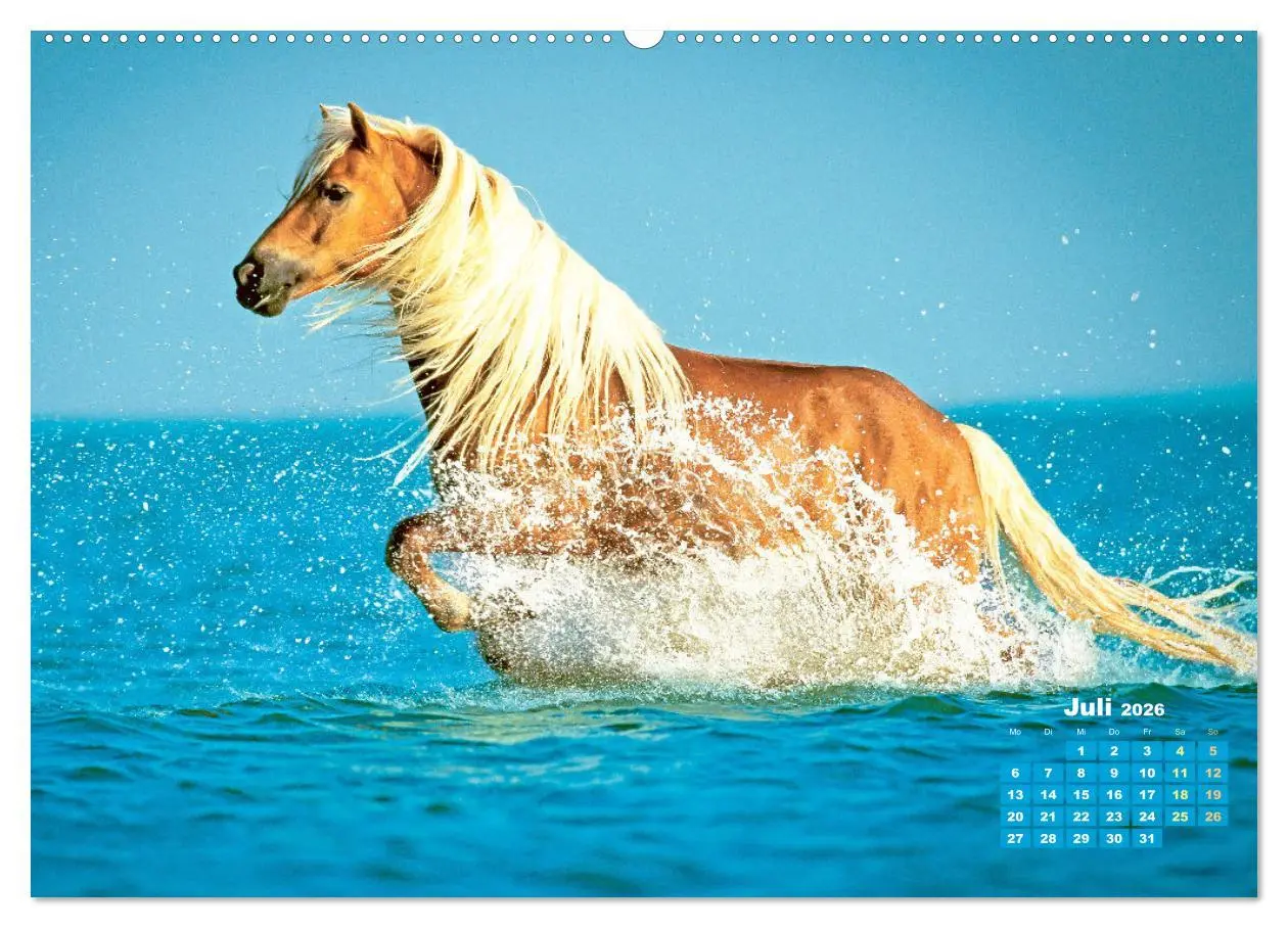 Bild: 9783457265949 | Haflinger: Die blonden Pferde von der Alm (Wandkalender 2026 DIN A2...