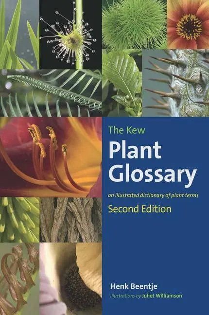 Cover: 9781842466049 | The Kew Plant Glossary | Henk Beentje | Taschenbuch | Englisch | 2016