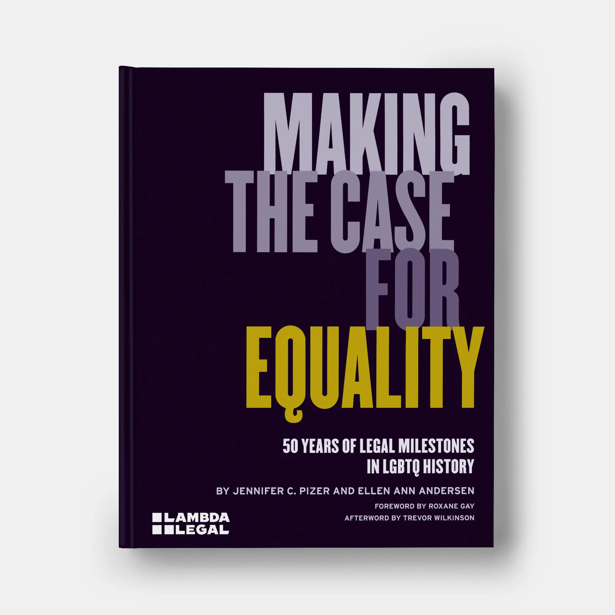 Bild: 9781580936149 | Making the Case for Equality | Ellen Ann Andersen (u. a.) | Buch