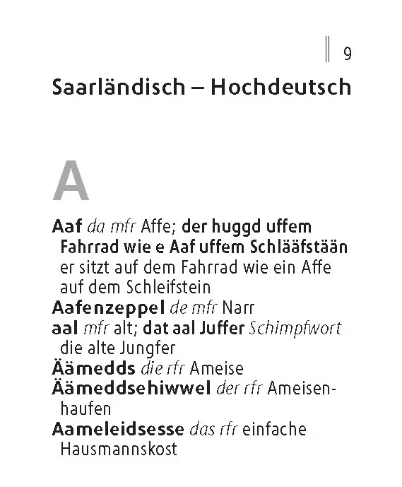 Bild: 9783125636149 | Langenscheidt Lilliput Saarländisch | Taschenbuch | 384 S. | Deutsch