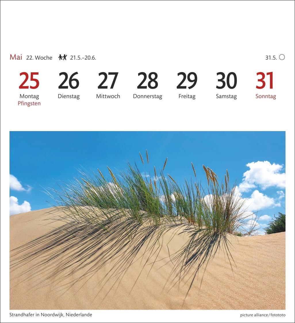 Bild: 9783840036149 | Nordseeküste Sehnsuchtskalender 2026 - Wochenkalender mit 53...