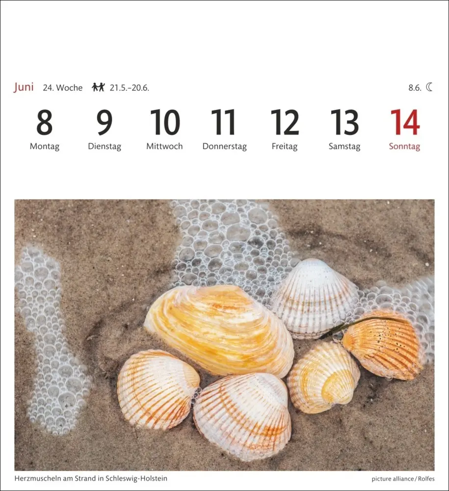 Bild: 9783840036149 | Nordseeküste Sehnsuchtskalender 2026 - Wochenkalender mit 53...