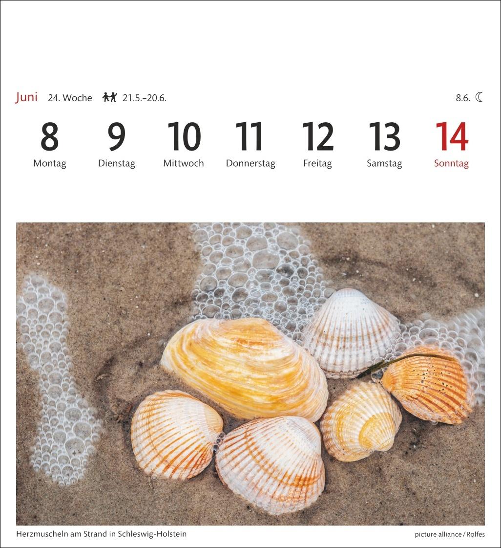 Bild: 9783840036149 | Nordseeküste Sehnsuchtskalender 2026 - Wochenkalender mit 53...