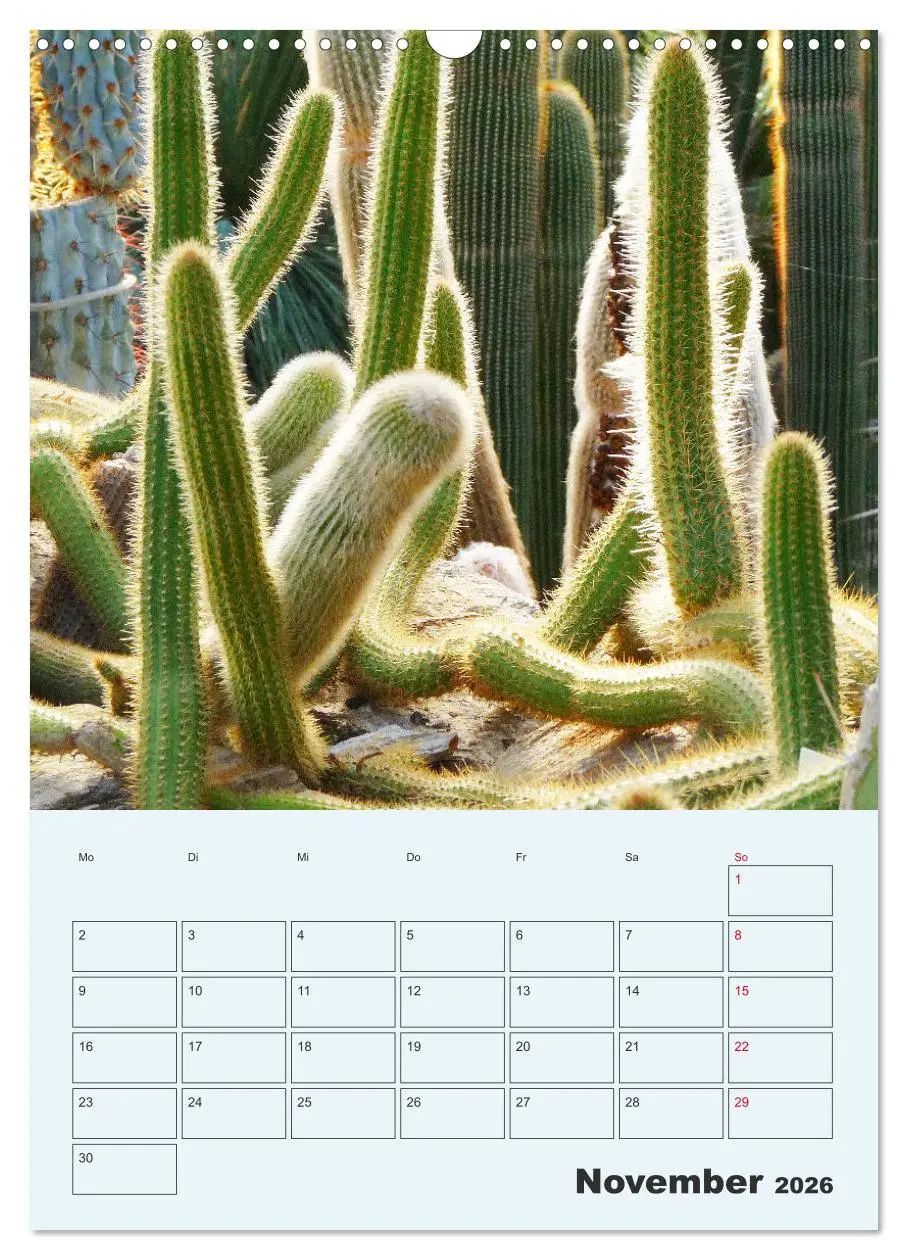 Bild: 9783516396249 | Wehrhafte Sukkulenten (Wandkalender 2026 DIN A3 hoch), CALVENDO...