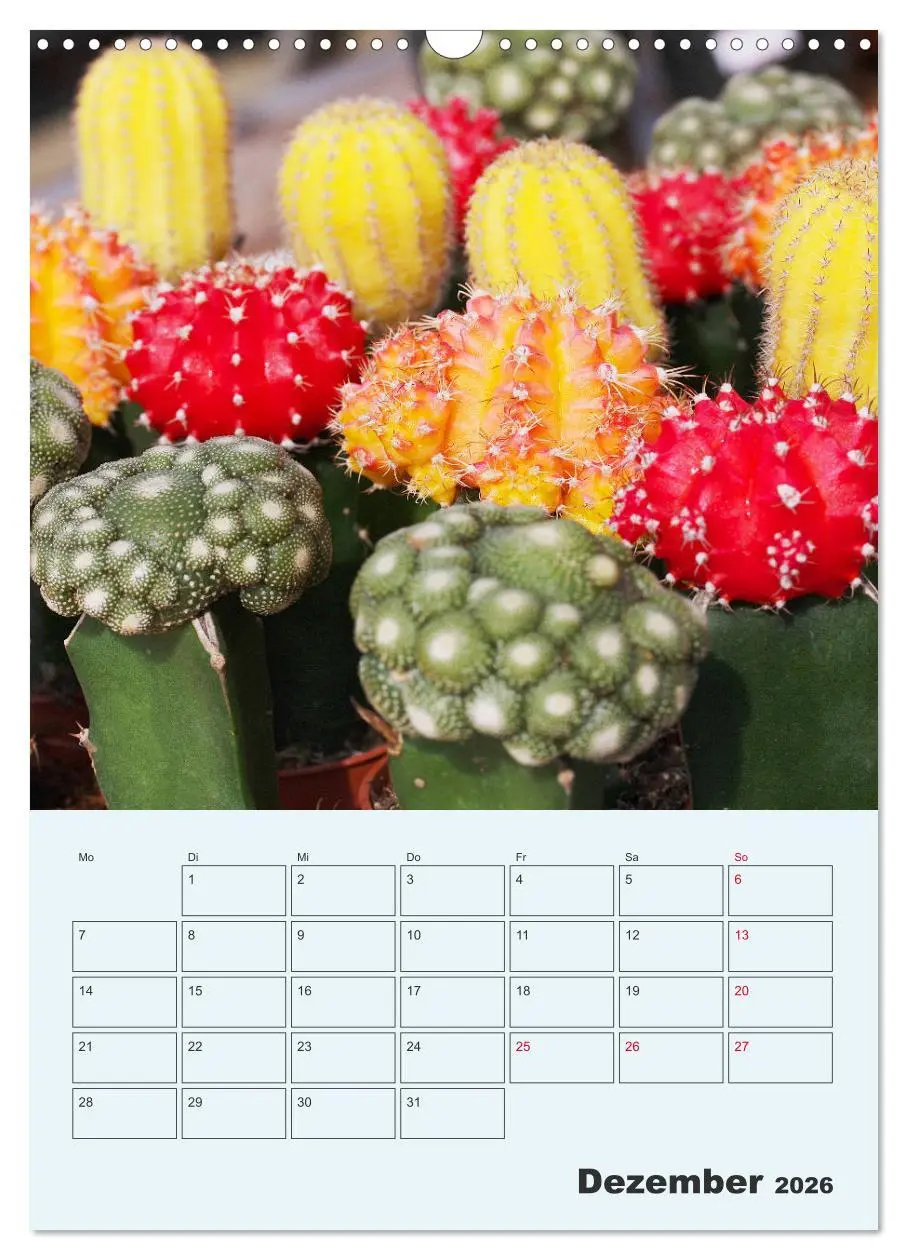 Bild: 9783516396249 | Wehrhafte Sukkulenten (Wandkalender 2026 DIN A3 hoch), CALVENDO...
