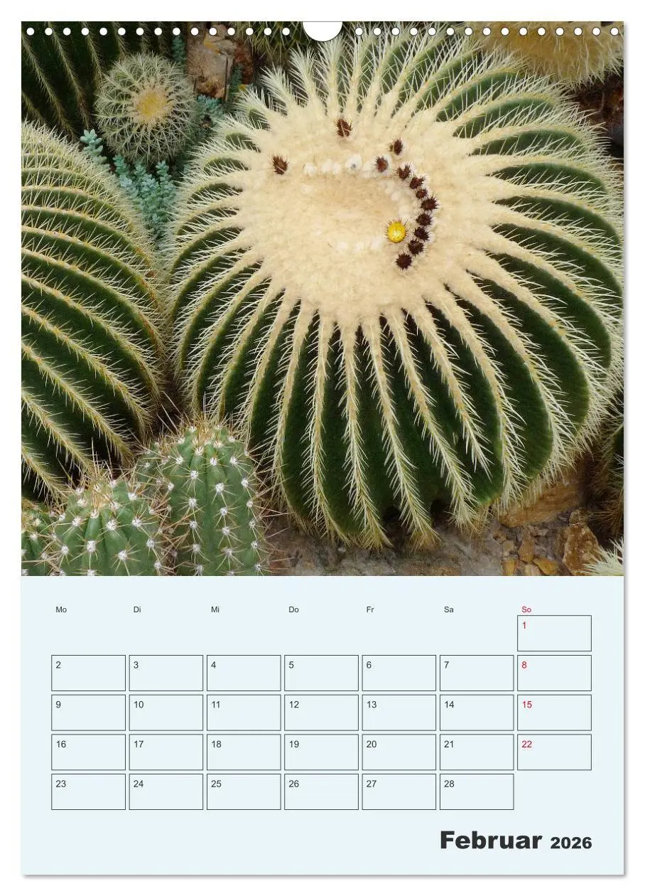Bild: 9783516396249 | Wehrhafte Sukkulenten (Wandkalender 2026 DIN A3 hoch), CALVENDO...