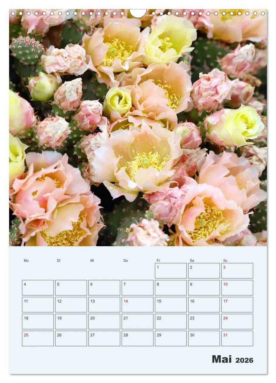 Bild: 9783516396249 | Wehrhafte Sukkulenten (Wandkalender 2026 DIN A3 hoch), CALVENDO...