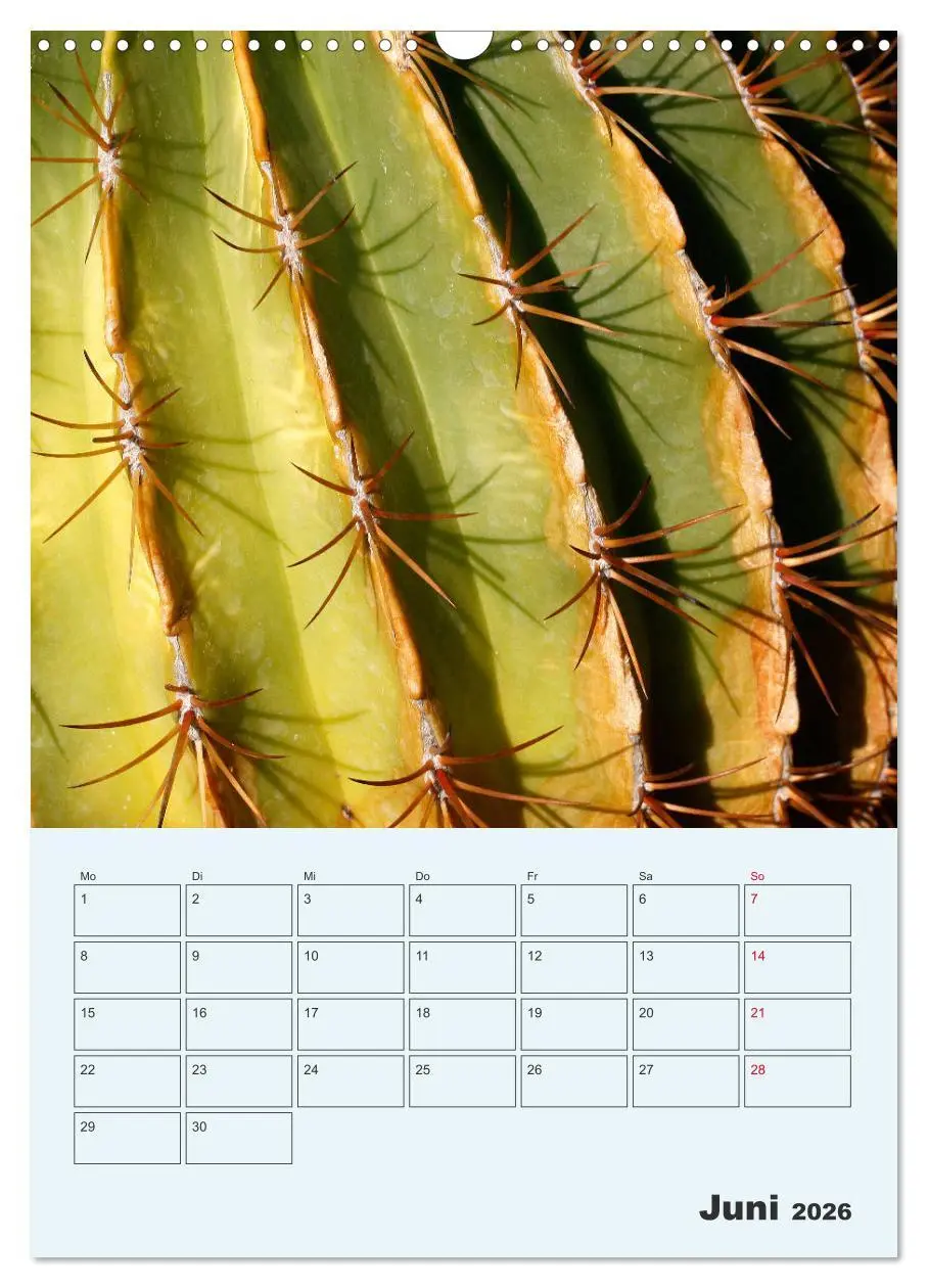 Bild: 9783516396249 | Wehrhafte Sukkulenten (Wandkalender 2026 DIN A3 hoch), CALVENDO...