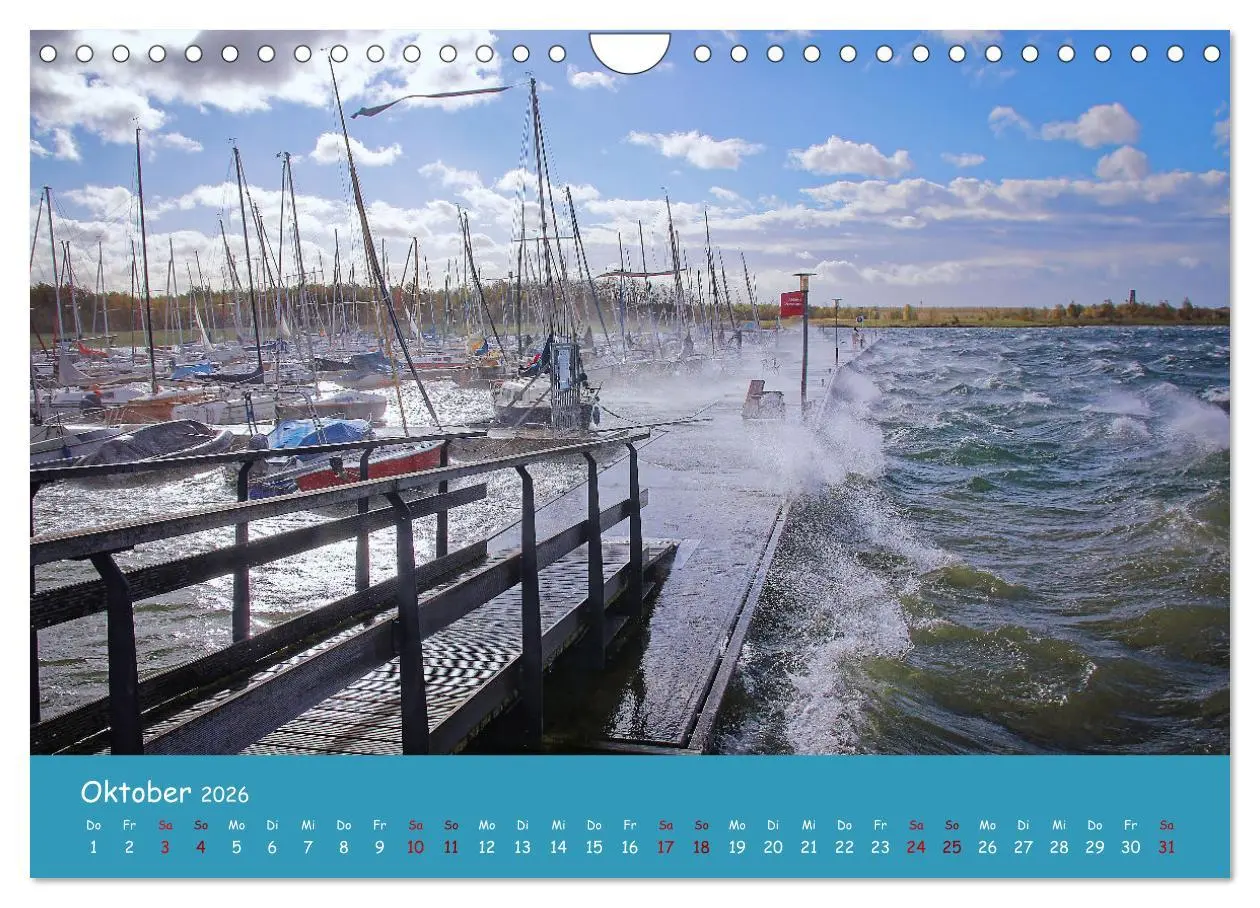Bild: 9783457366349 | Mein Cospudener See (Wandkalender 2026 DIN A4 quer), CALVENDO...