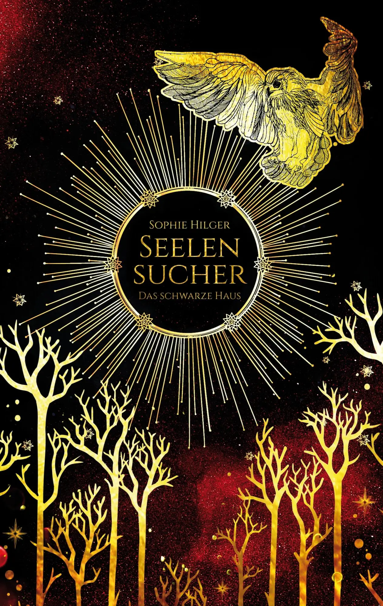Cover: 9783746066349 | Seelensucher | Das schwarze Haus | Sophie Hilger | Taschenbuch | 2020