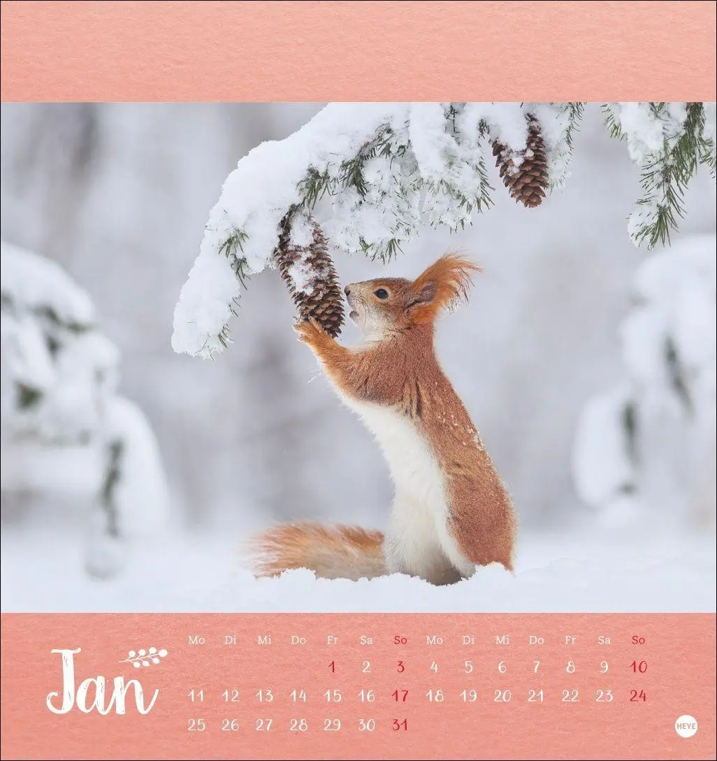 Bild: 9783756416349 | Vadim Trunov: Märchenhaftes Waldleben Postkartenkalender 2027 | Trunov