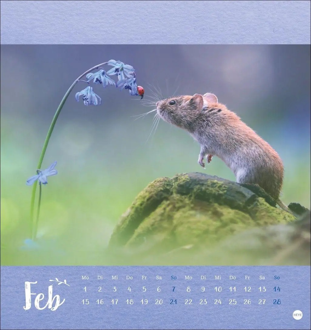 Bild: 9783756416349 | Vadim Trunov: Märchenhaftes Waldleben Postkartenkalender 2027 | Trunov