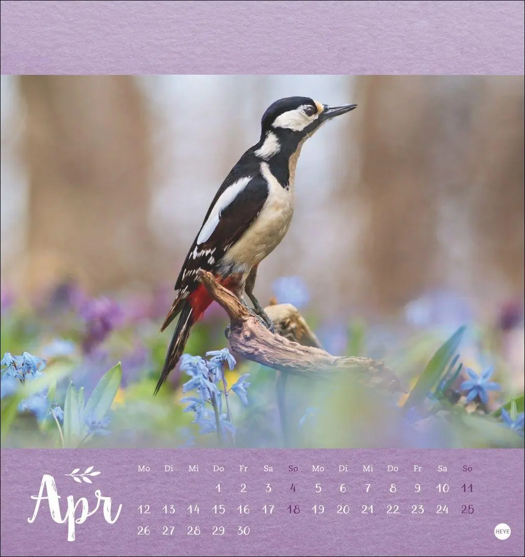 Bild: 9783756416349 | Vadim Trunov: Märchenhaftes Waldleben Postkartenkalender 2027 | Trunov