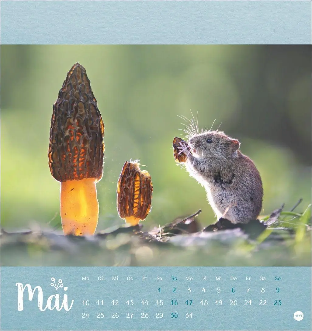 Bild: 9783756416349 | Vadim Trunov: Märchenhaftes Waldleben Postkartenkalender 2027 | Trunov