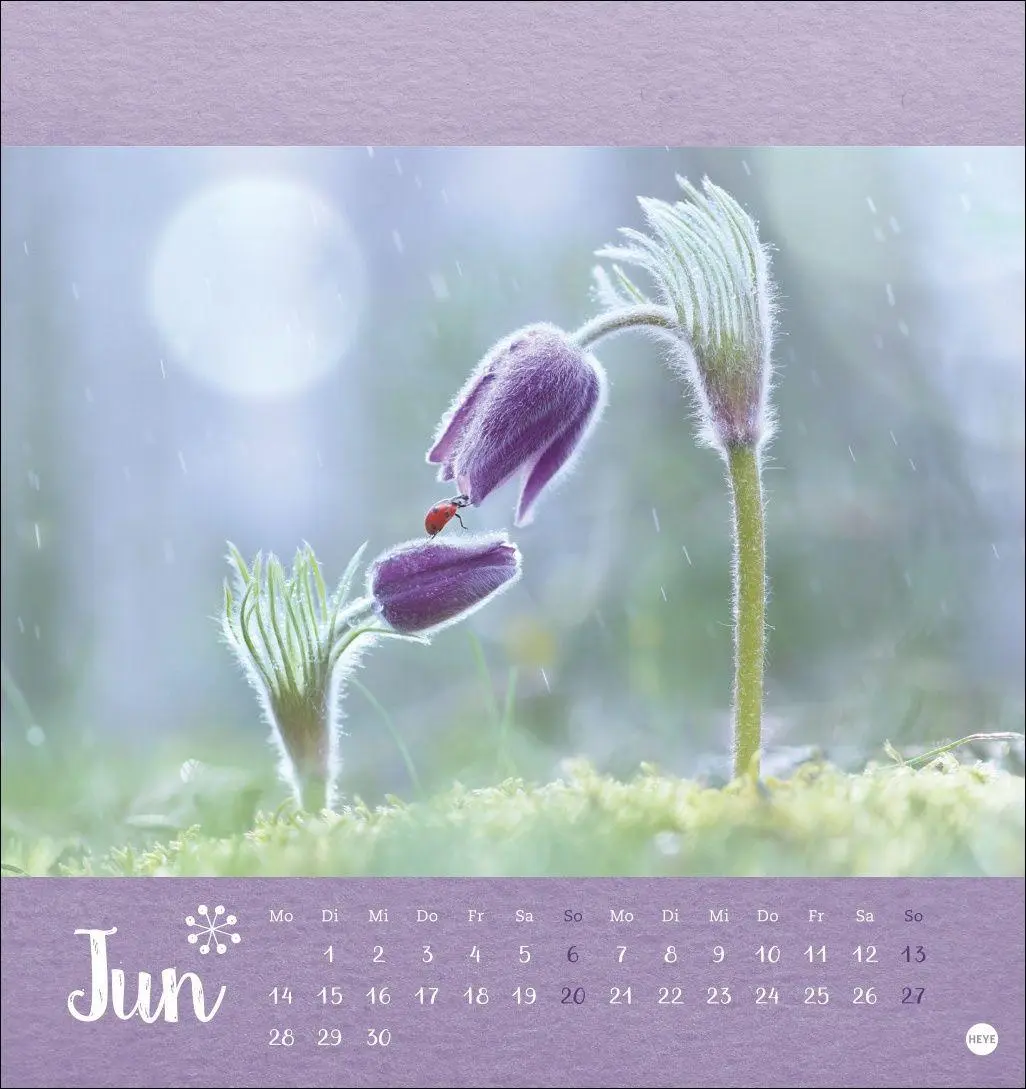 Bild: 9783756416349 | Vadim Trunov: Märchenhaftes Waldleben Postkartenkalender 2027 | Trunov
