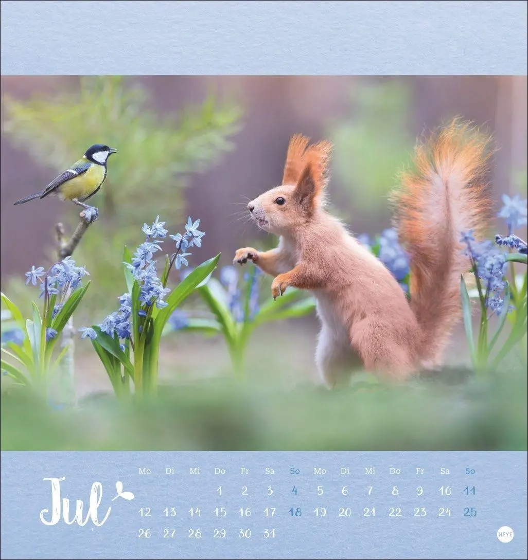 Bild: 9783756416349 | Vadim Trunov: Märchenhaftes Waldleben Postkartenkalender 2027 | Trunov