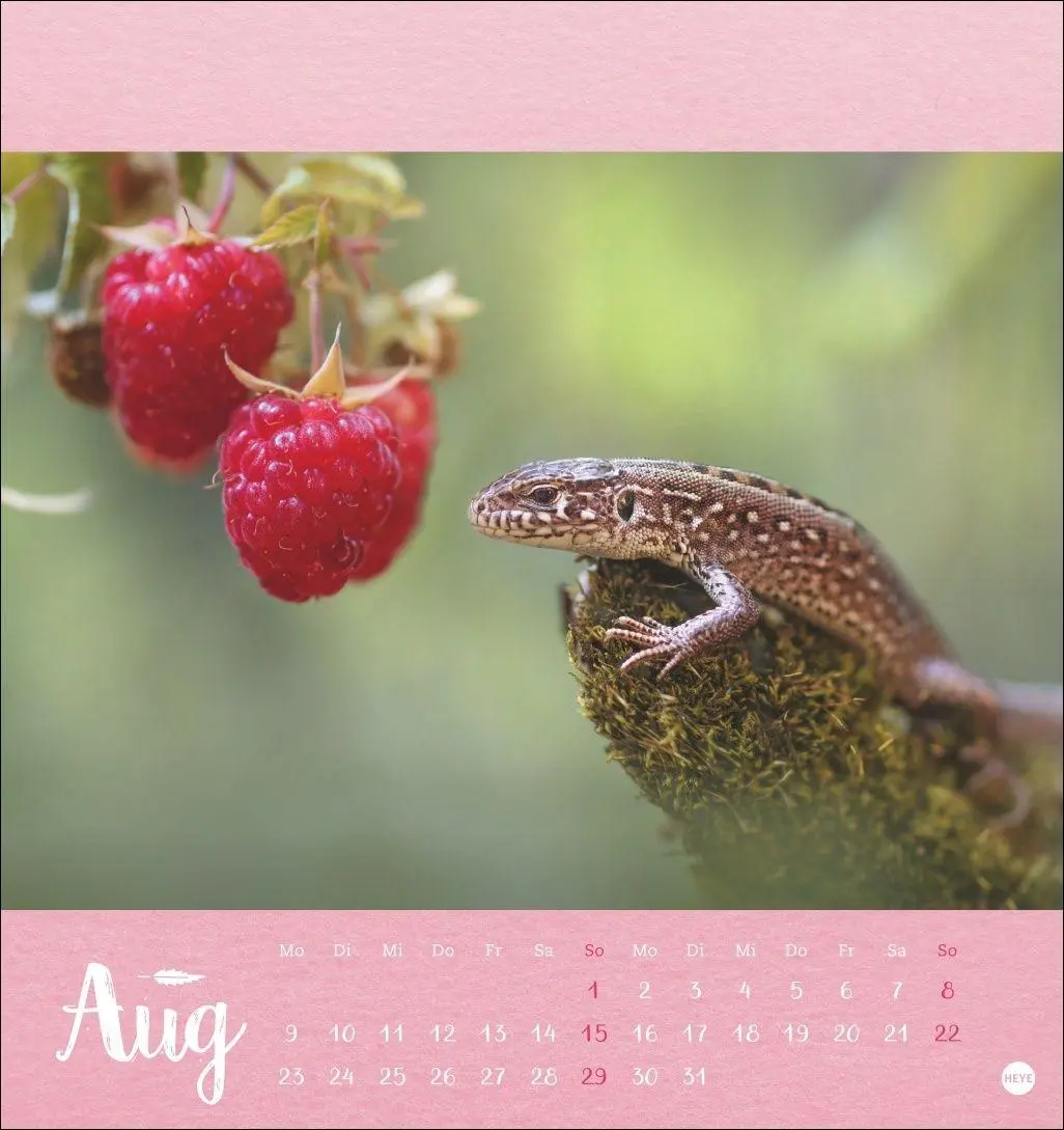 Bild: 9783756416349 | Vadim Trunov: Märchenhaftes Waldleben Postkartenkalender 2027 | Trunov