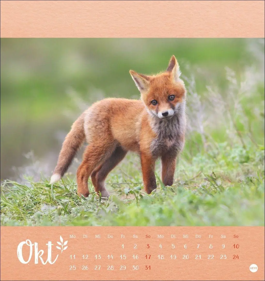 Bild: 9783756416349 | Vadim Trunov: Märchenhaftes Waldleben Postkartenkalender 2027 | Trunov