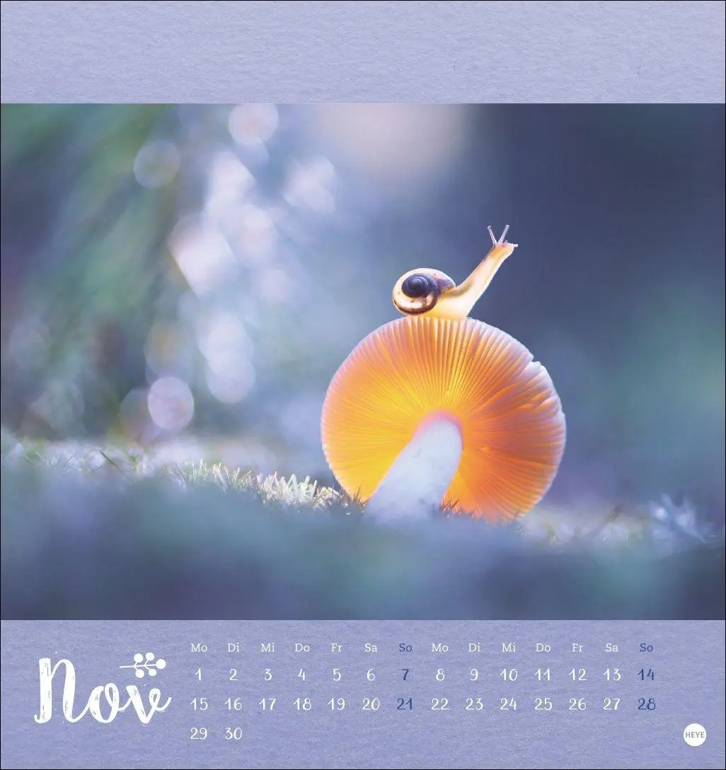 Bild: 9783756416349 | Vadim Trunov: Märchenhaftes Waldleben Postkartenkalender 2027 | Trunov