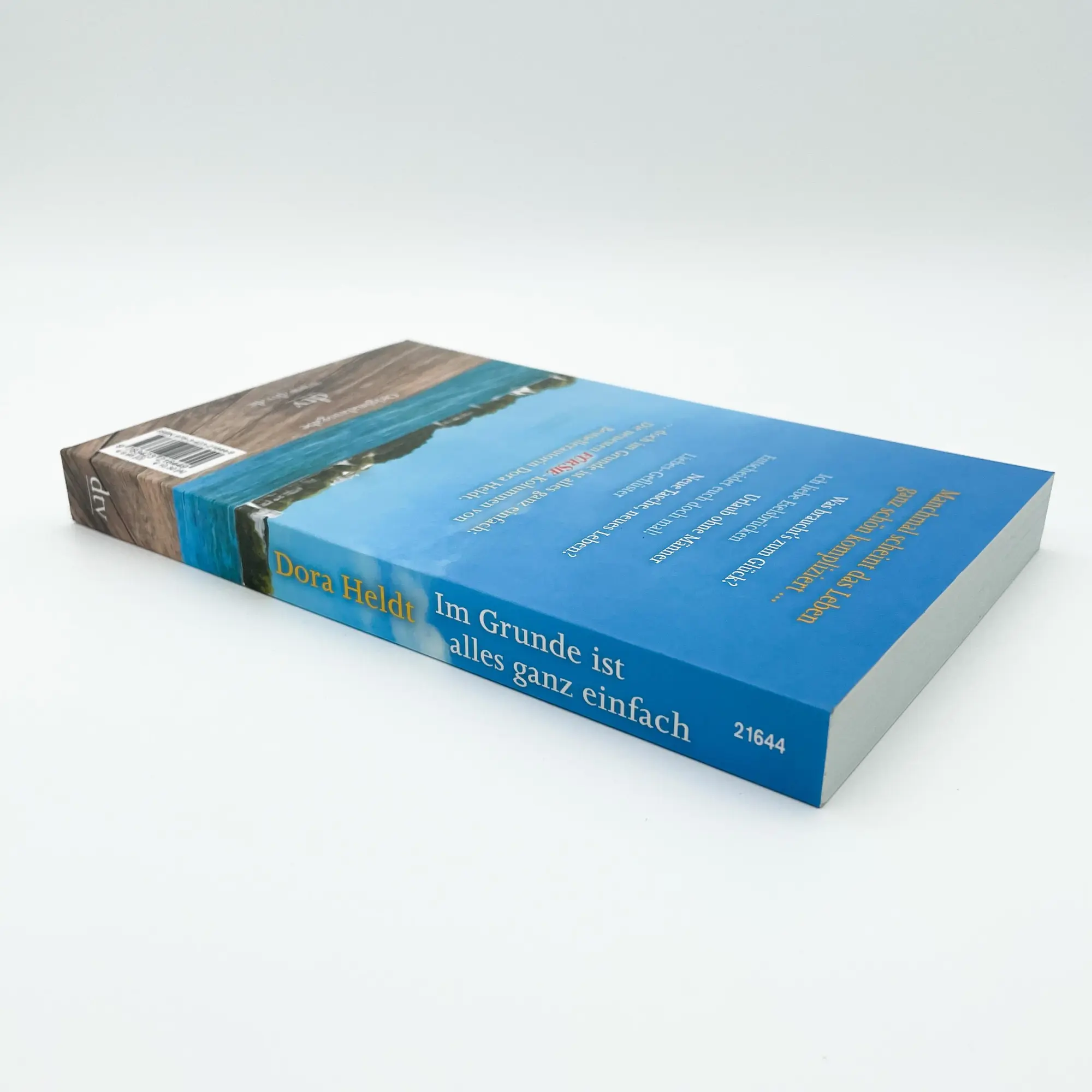 Bild: 9783423216449 | Im Grunde ist alles ganz einfach | Dora Heldt | Taschenbuch | 224 S.