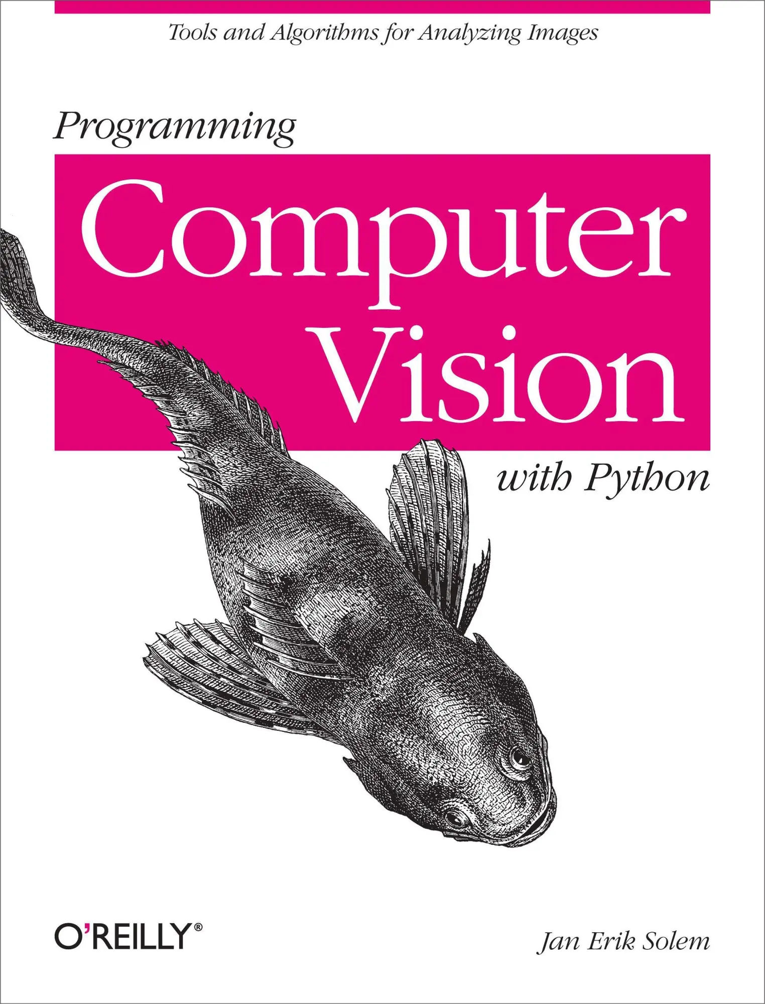 Cover: 9781449316549 | Programming Computer Vision with Python | Jan Erik Solem | Taschenbuch