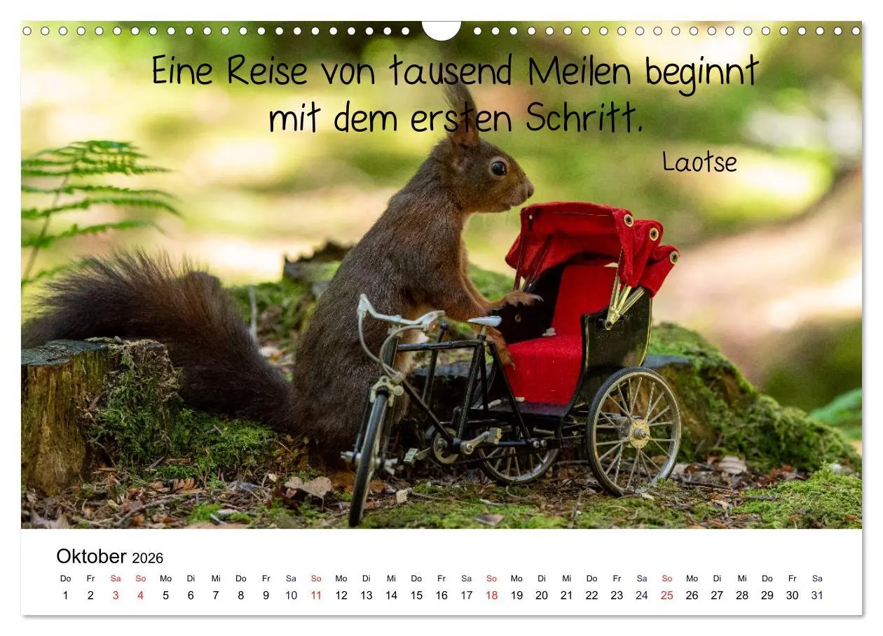 Bild: 9783457896549 | Der literarische Eichhörnchen-Kalender (Wandkalender 2026 DIN A3...
