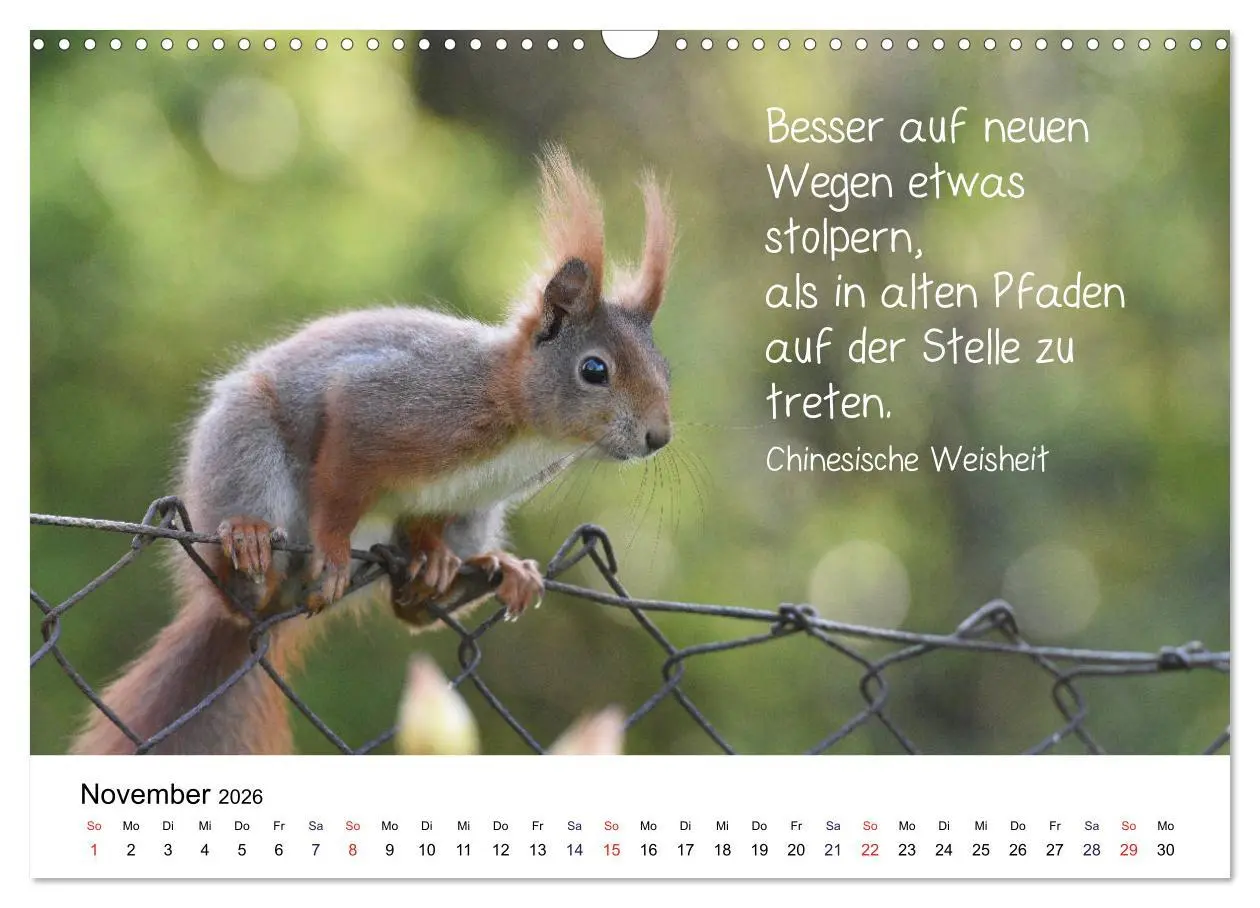 Bild: 9783457896549 | Der literarische Eichhörnchen-Kalender (Wandkalender 2026 DIN A3...