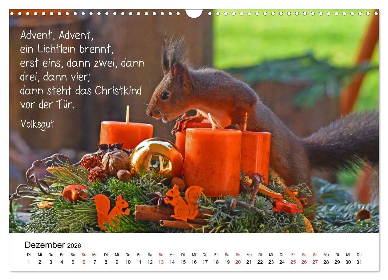 Bild: 9783457896549 | Der literarische Eichhörnchen-Kalender (Wandkalender 2026 DIN A3...