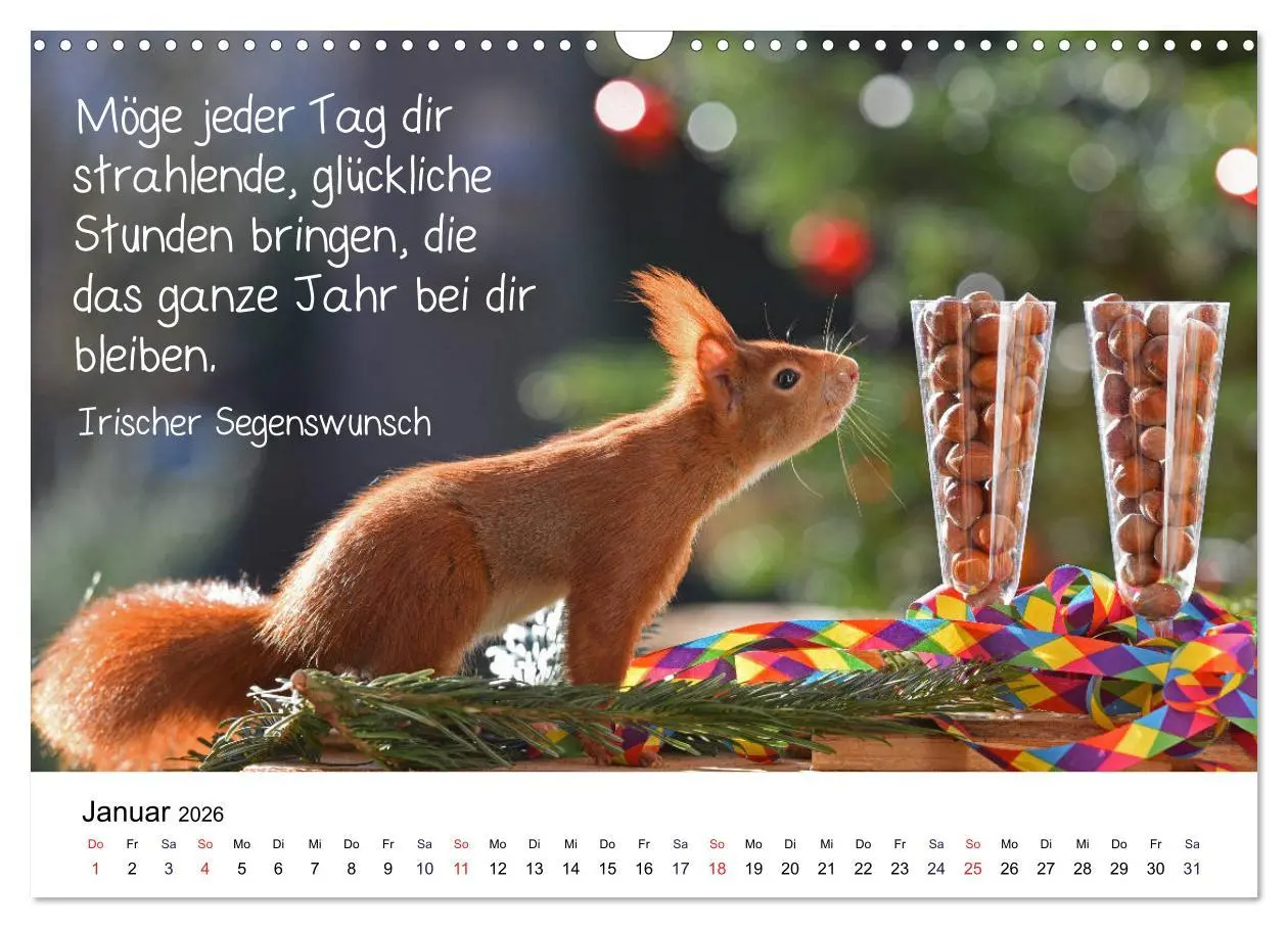 Bild: 9783457896549 | Der literarische Eichhörnchen-Kalender (Wandkalender 2026 DIN A3...