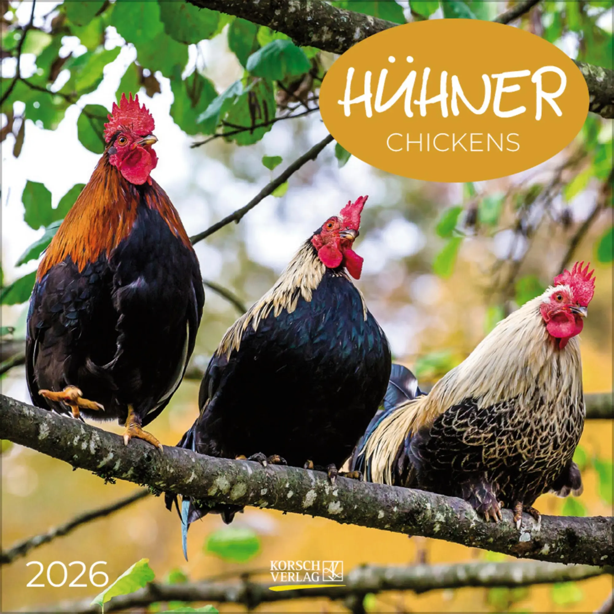 Cover: 9783731886549 | Hühner 2026 | Verlag Korsch | Kalender | 13 S. | Deutsch | 2026