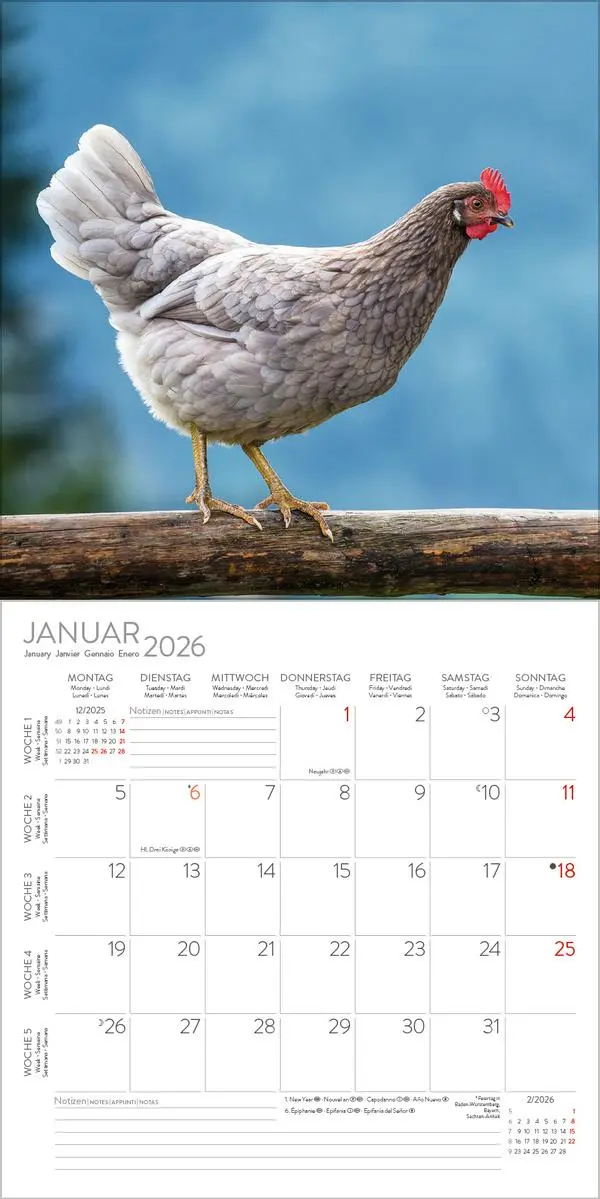 Bild: 9783731886549 | Hühner 2026 | Verlag Korsch | Kalender | 13 S. | Deutsch | 2026