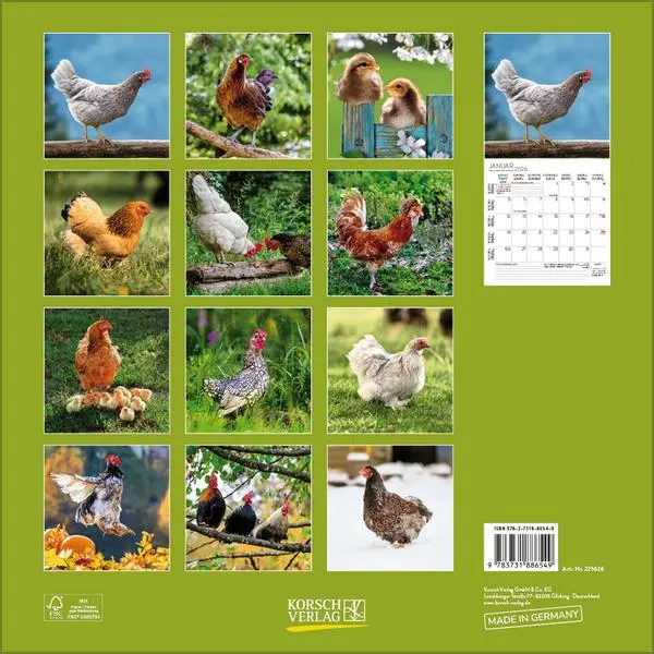 Bild: 9783731886549 | Hühner 2026 | Verlag Korsch | Kalender | 13 S. | Deutsch | 2026