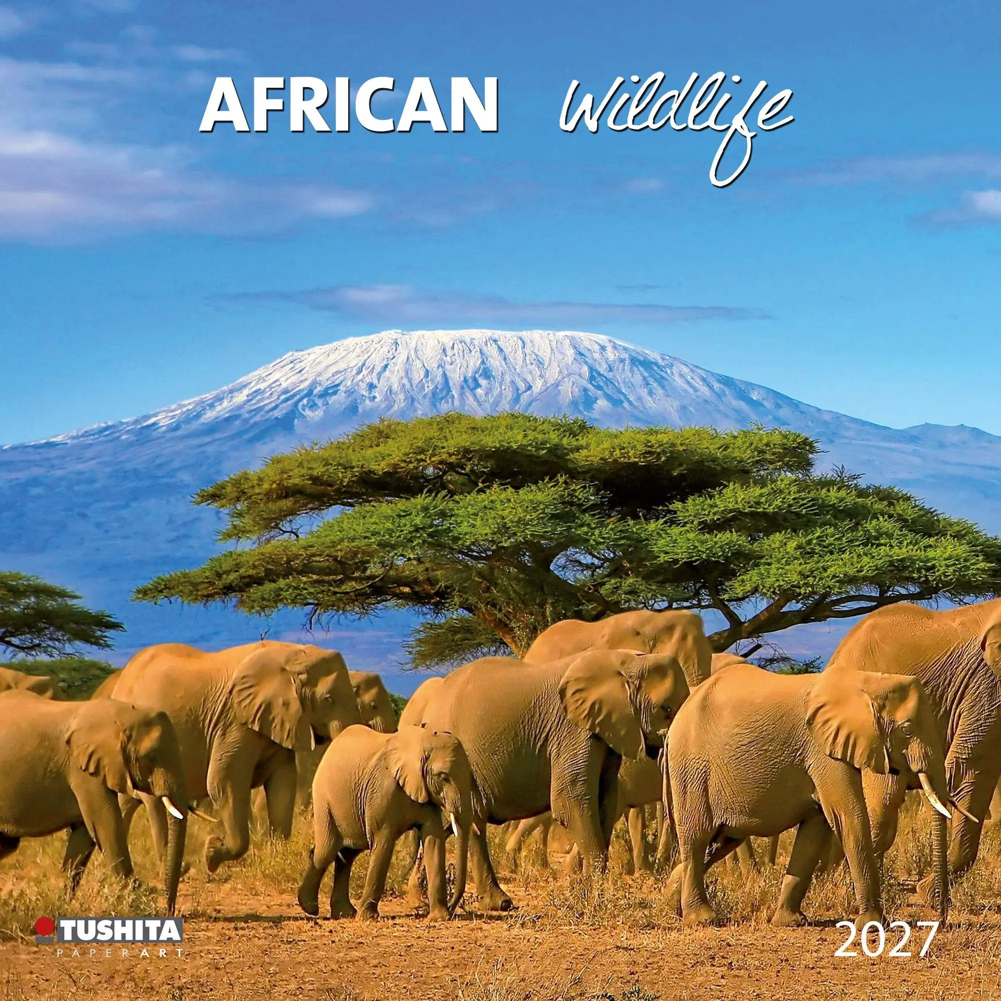 Cover: 9783959296649 | African Wildlife 2027 | Kalender 2027 | Kalender | 28 S. | Deutsch