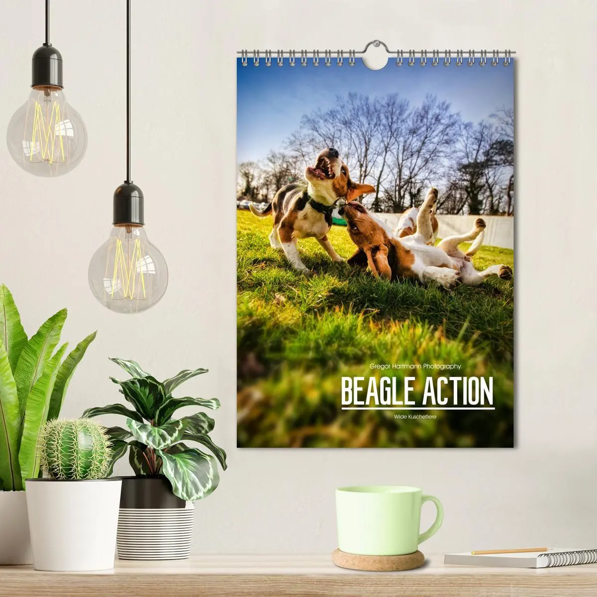Bild: 9783516416749 | Beagle Action - Wilde Kuscheltiere (Wandkalender 2026 DIN A4 hoch),...