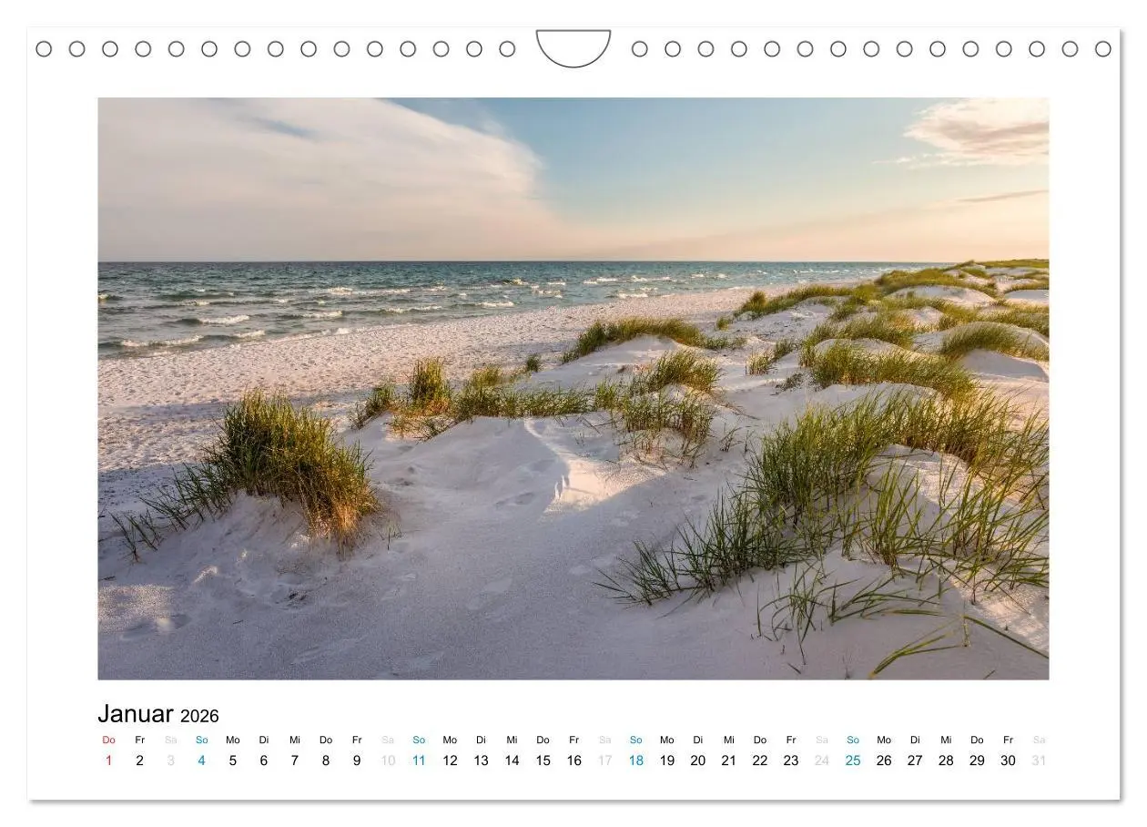 Bild: 9783516026849 | Sehnsucht nach Bornholm (Wandkalender 2026 DIN A4 quer), CALVENDO...