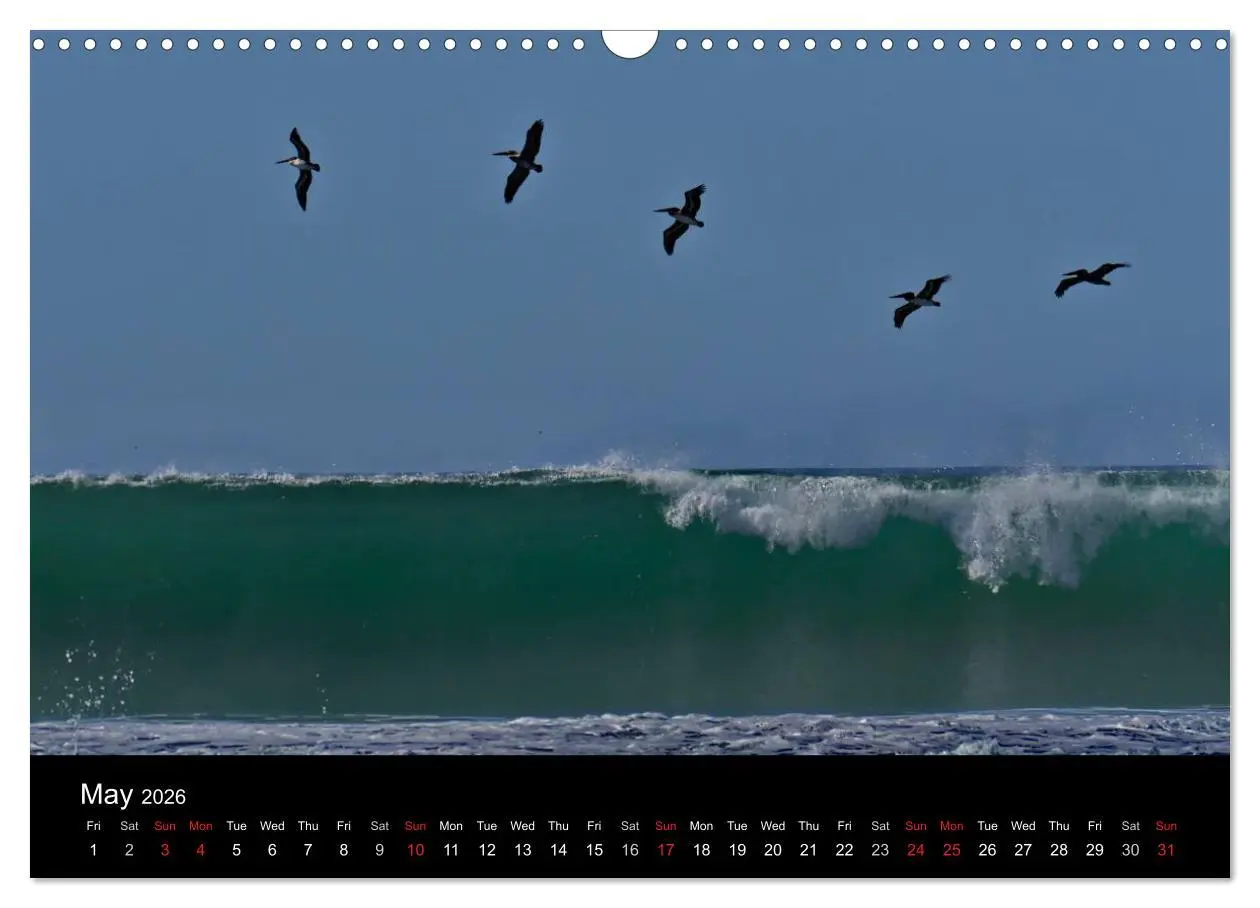 Bild: 9783516576849 | California Coasline (Wall Calendar 2026 DIN A3 landscape), CALVENDO...