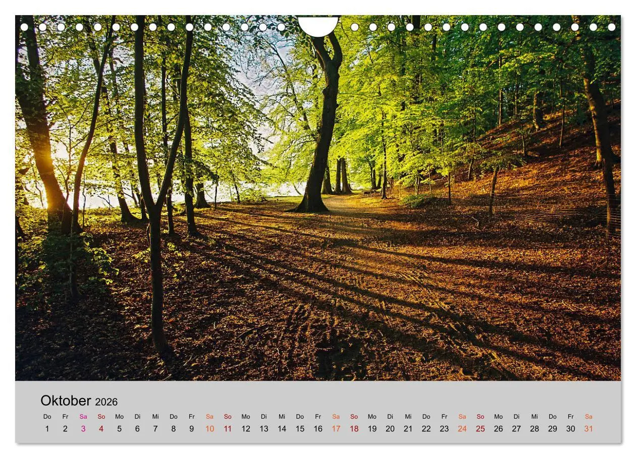 Bild: 9783457856949 | Joachimsthal am Rand der Schorfheide (Wandkalender 2026 DIN A4...
