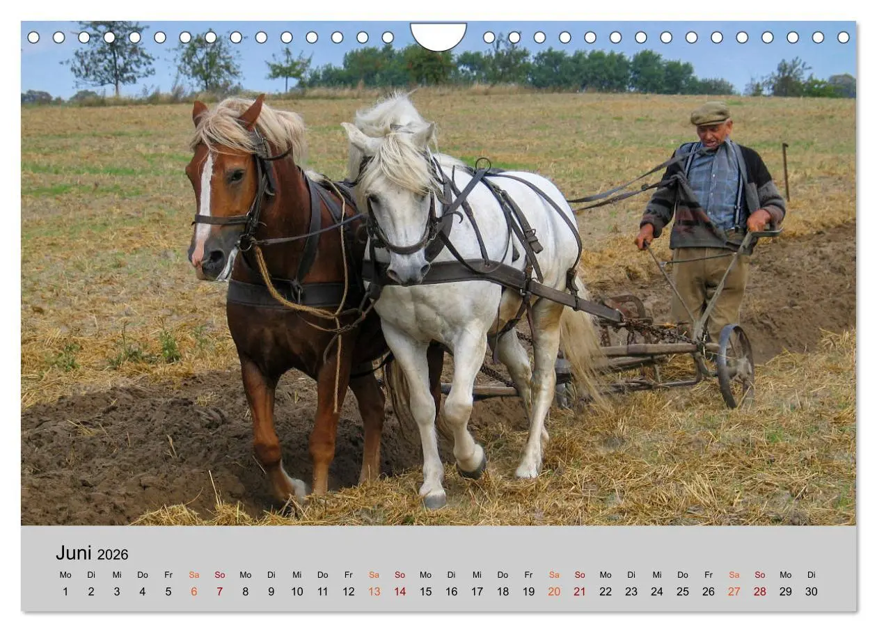Bild: 9783457856949 | Joachimsthal am Rand der Schorfheide (Wandkalender 2026 DIN A4...