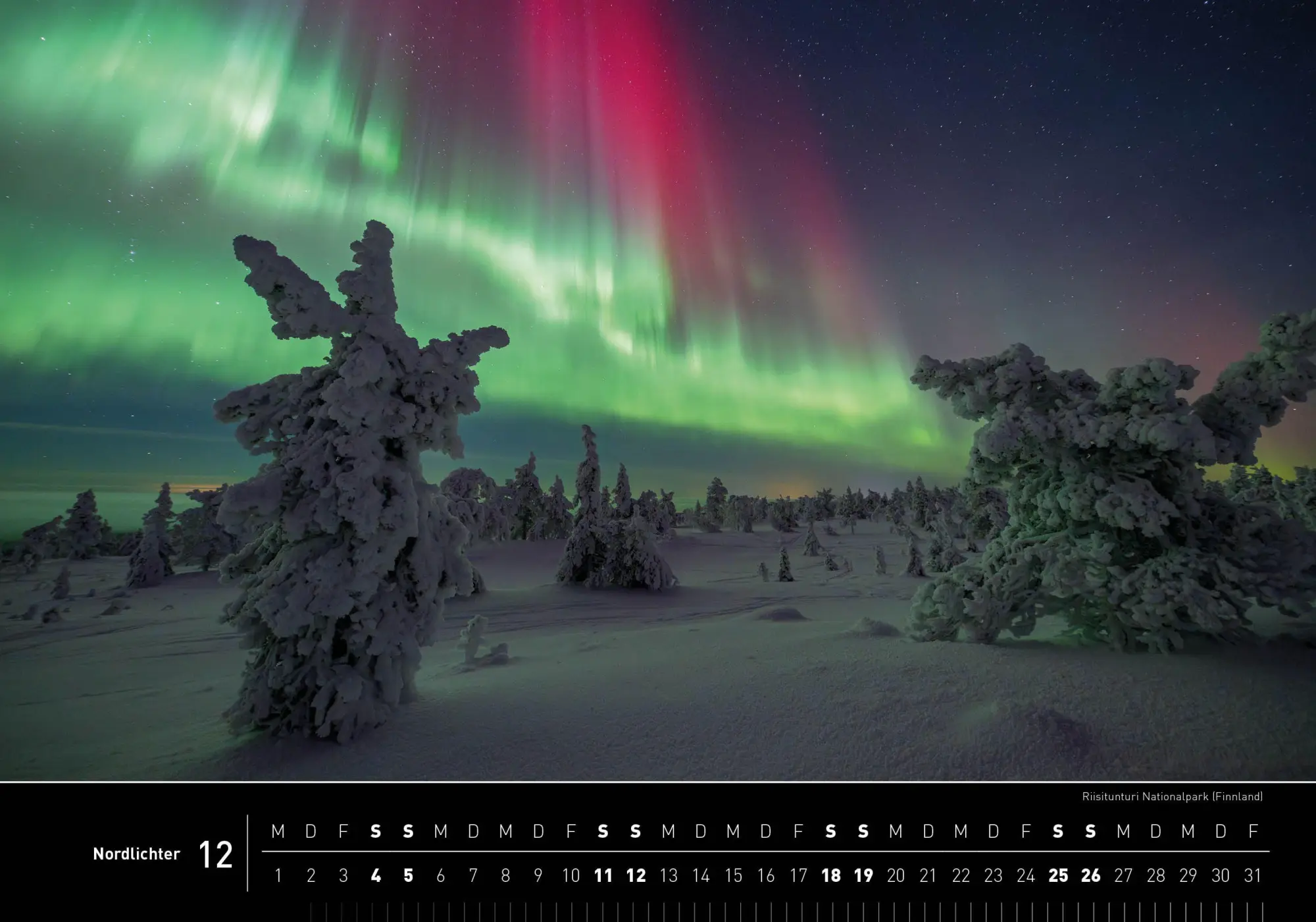 Bild: 9783968556949 | Nordlichter Premiumkalender 2027 | Robert Haasmann | Kalender | 14 S.