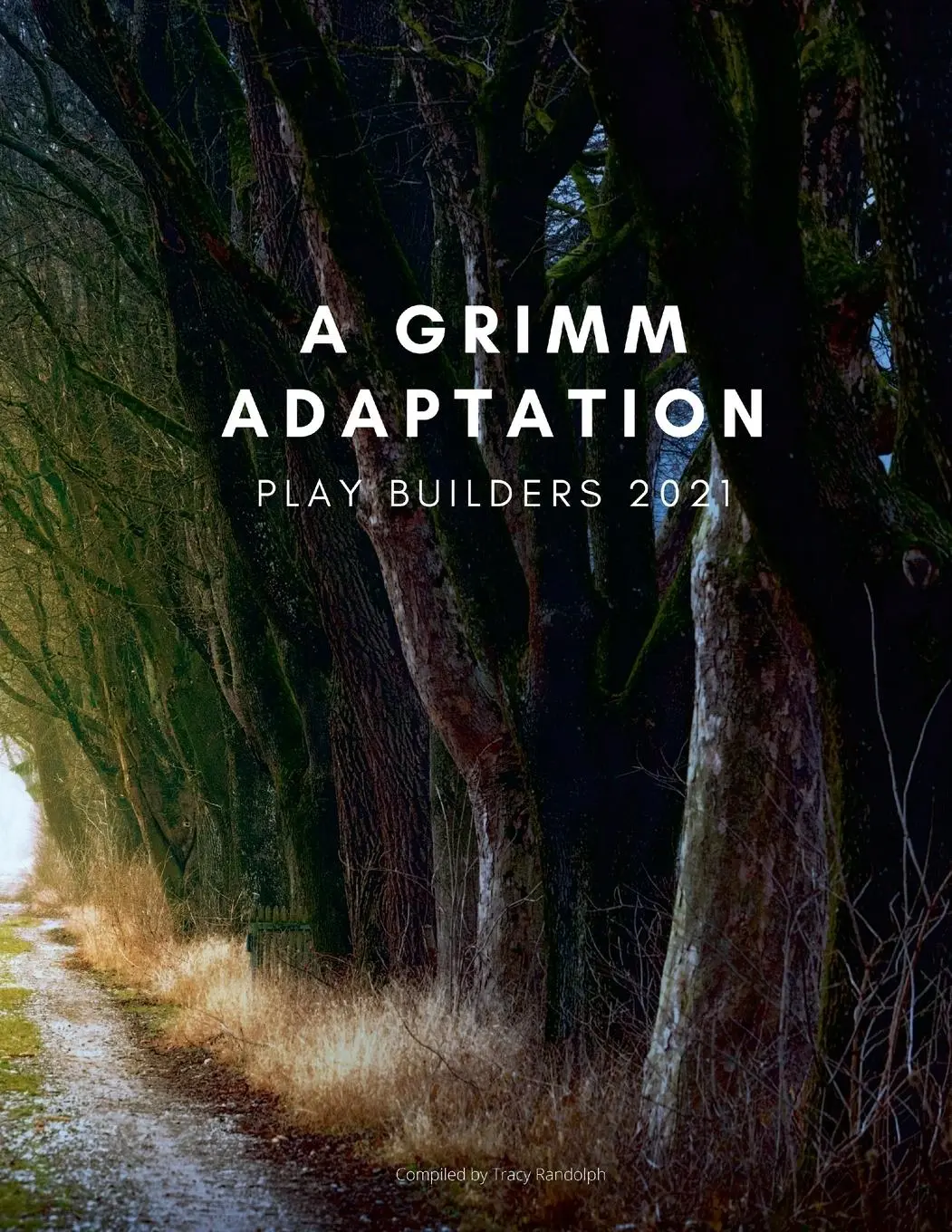 Cover: 9781667137049 | PLAY BUILDERS | A GRIMM ADAPTATION | Matthew Randolph (u. a.) | Buch
