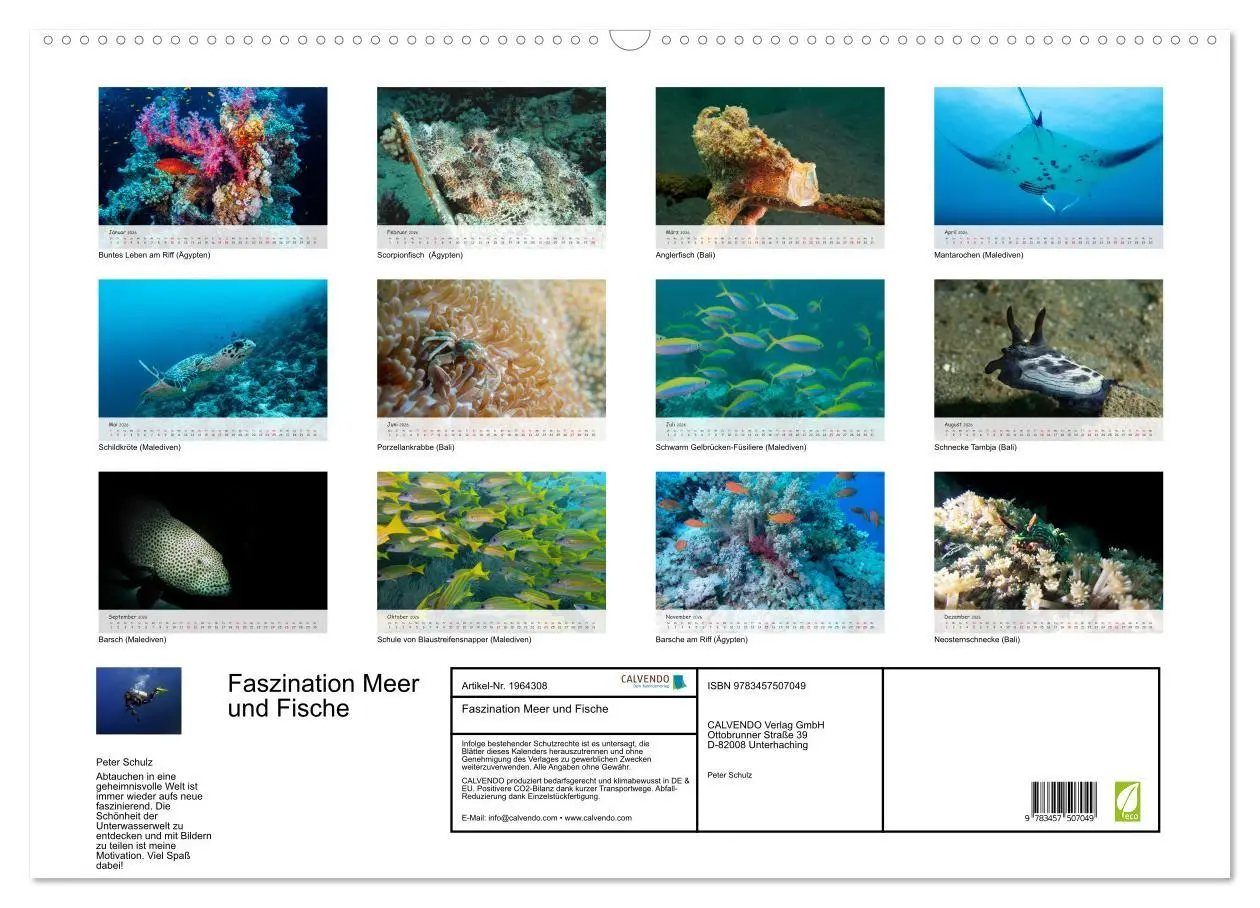 Bild: 9783457507049 | Faszination Meer und Fische (Wandkalender 2026 DIN A2 quer),...