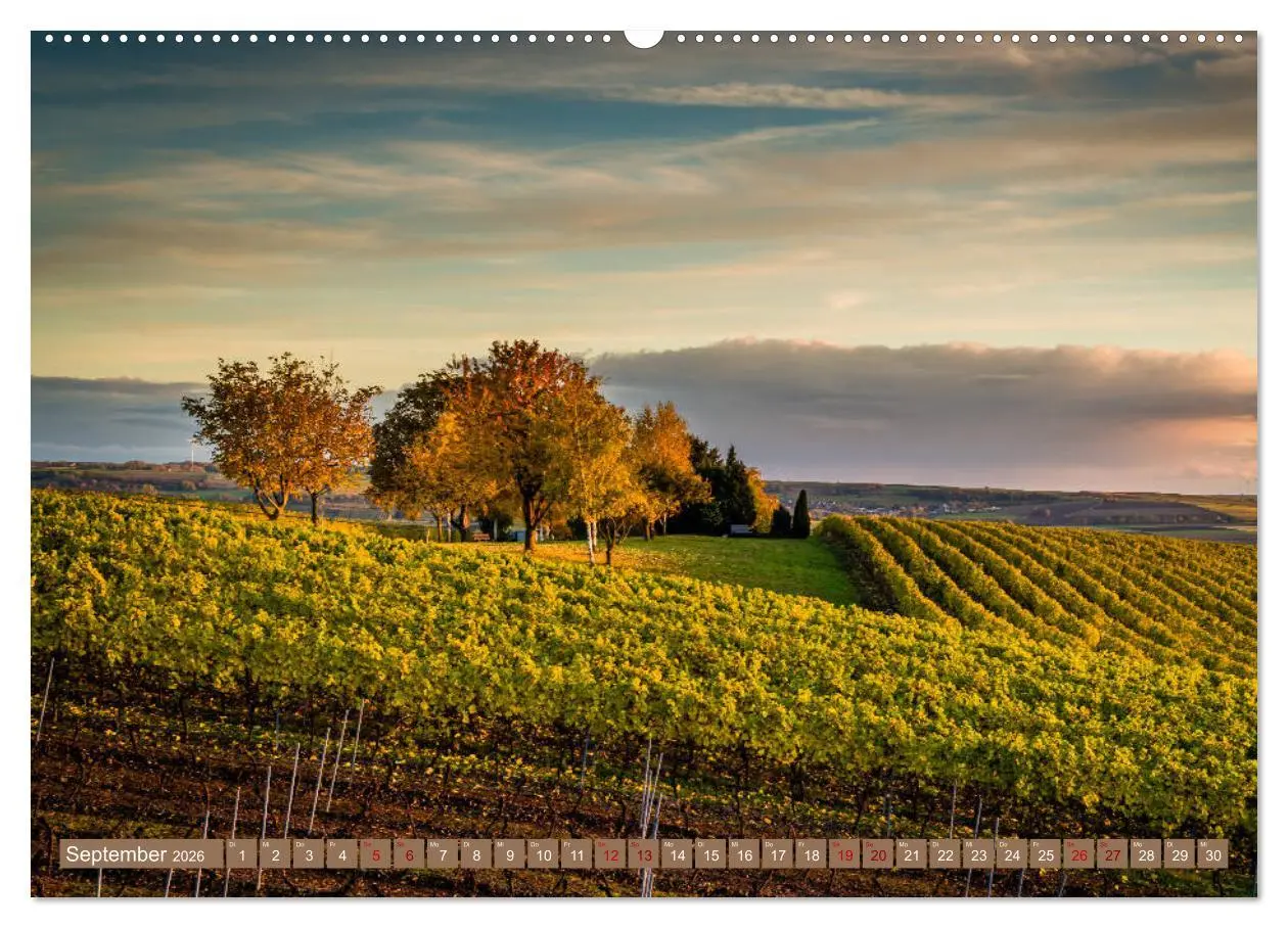 Bild: 9783457747049 | Rheinhessen-Impressionen (hochwertiger Premium Wandkalender 2026...