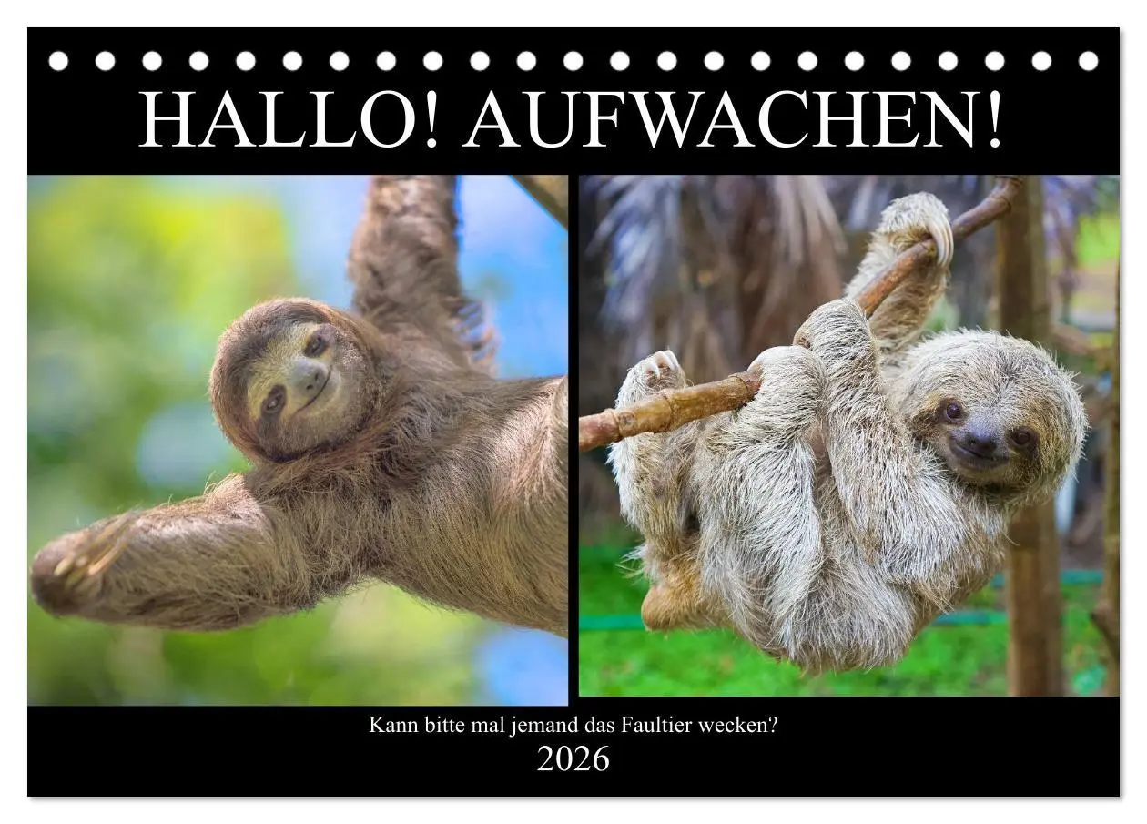Cover: 9783457817049 | Hallo! Aufwachen! Kann bitte mal jemand das Faultier wecken?...